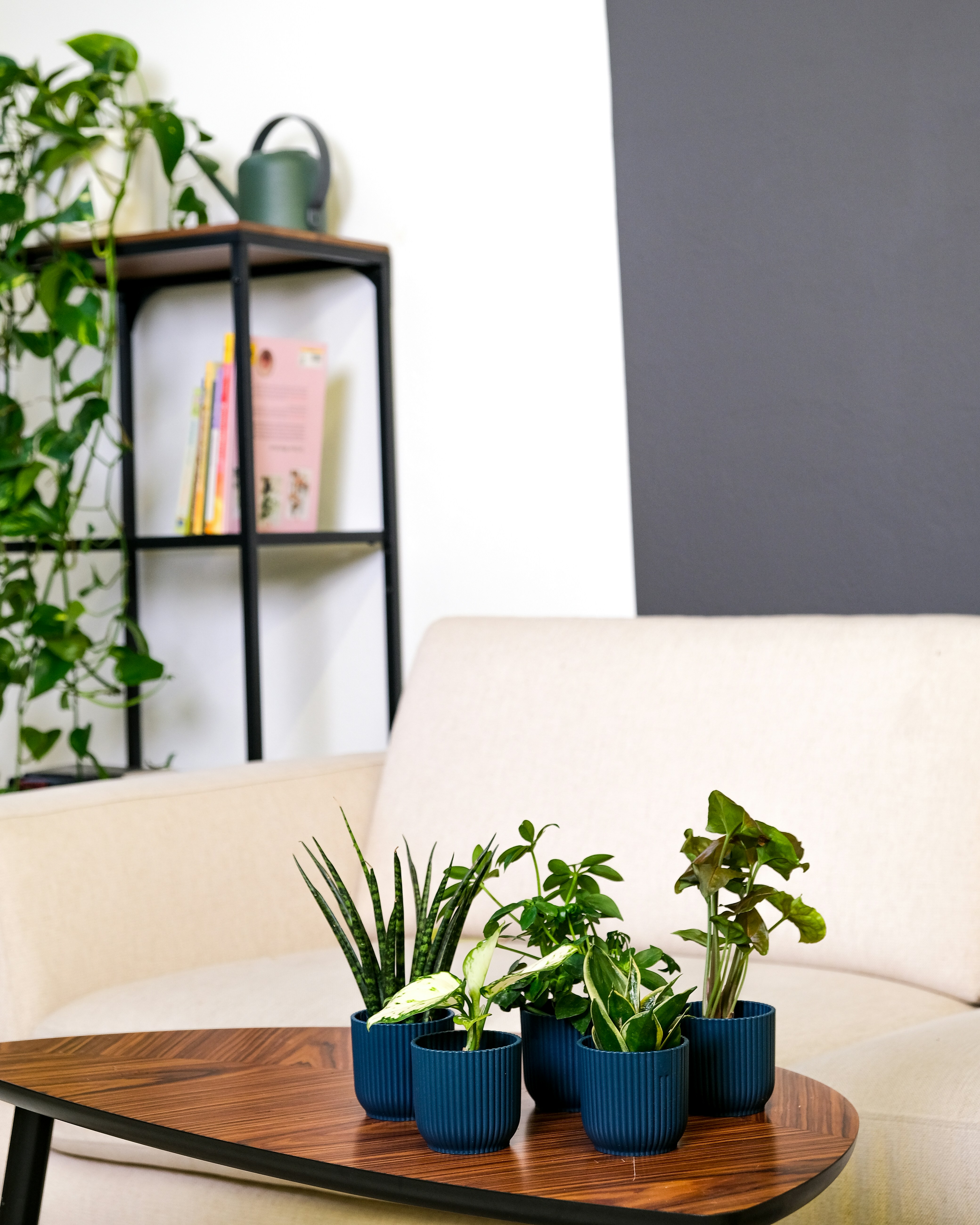 Photo by feeypflanzen