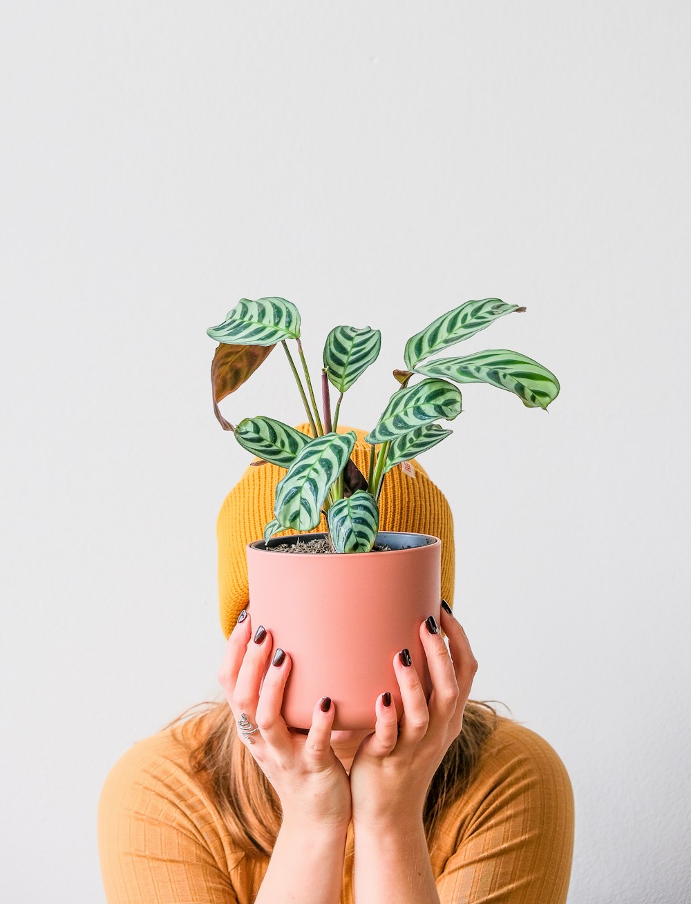 a woman holding a potted plant