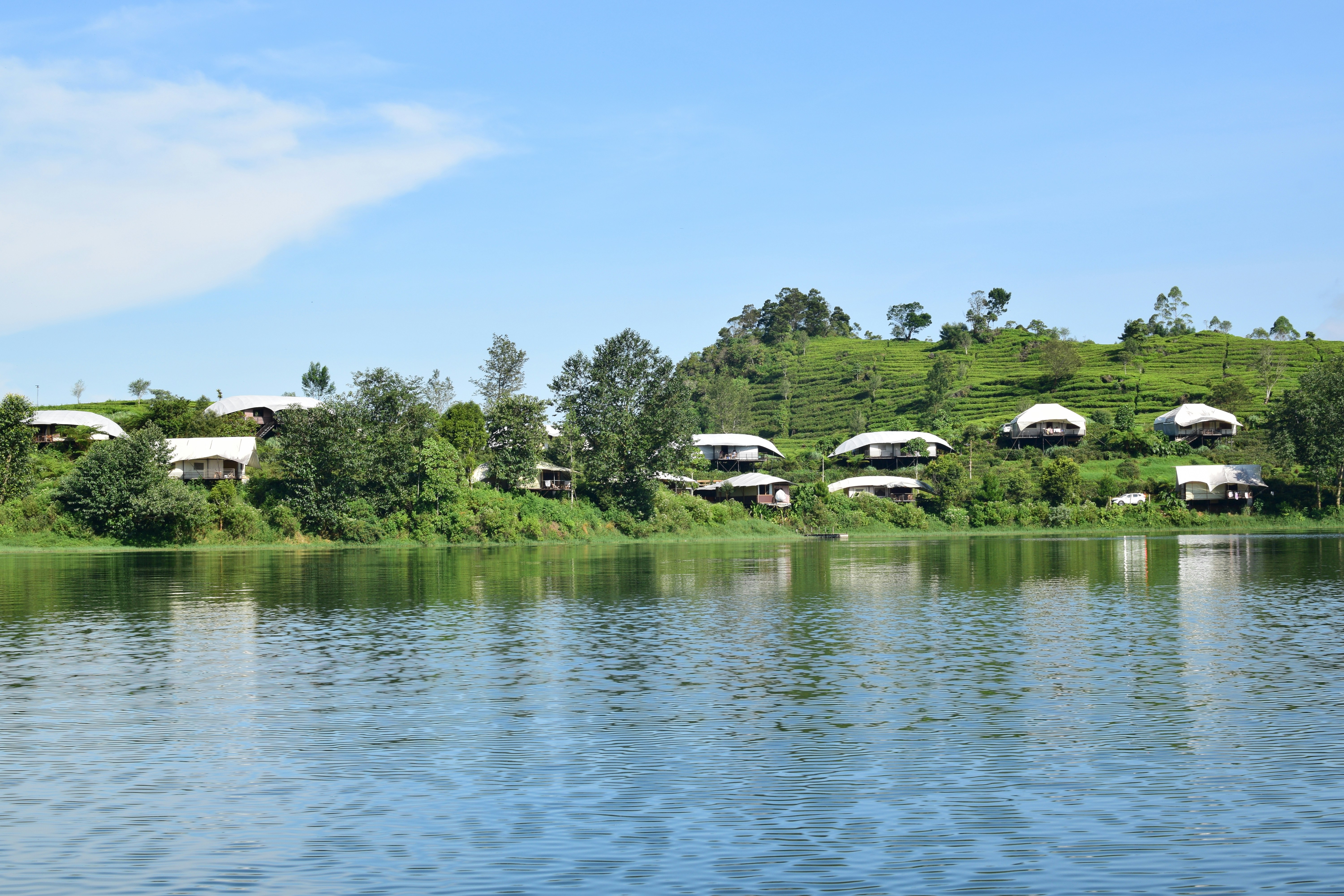 a body of water with houses and trees around it