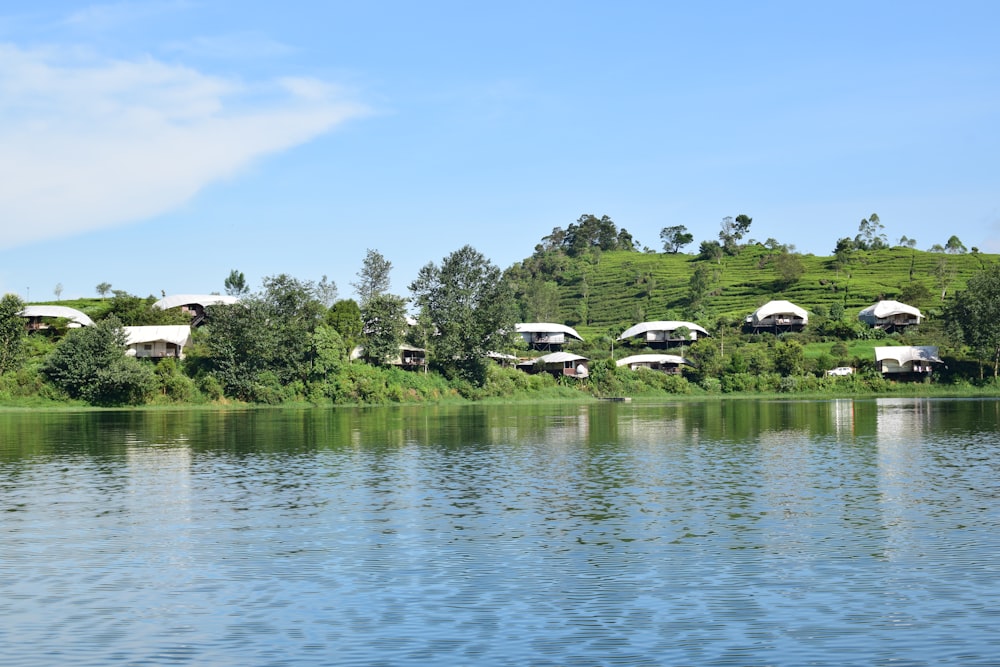 a body of water with houses and trees around it