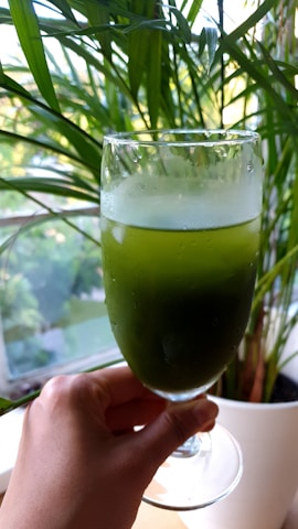 Hands holding a bubbling green wellness drink with fresh herbs in the background.