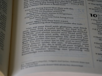 An open book displaying a passage with numbered verses and a significant amount of text in two columns per page. The focus is on a passage that includes phrases about life, knowledge, and enjoyment. The background is slightly blurred, drawing attention to the central text.