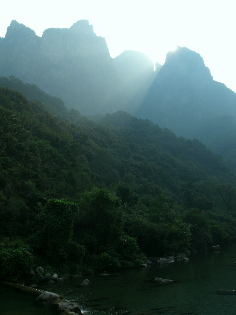 a river with trees and mountains in the background