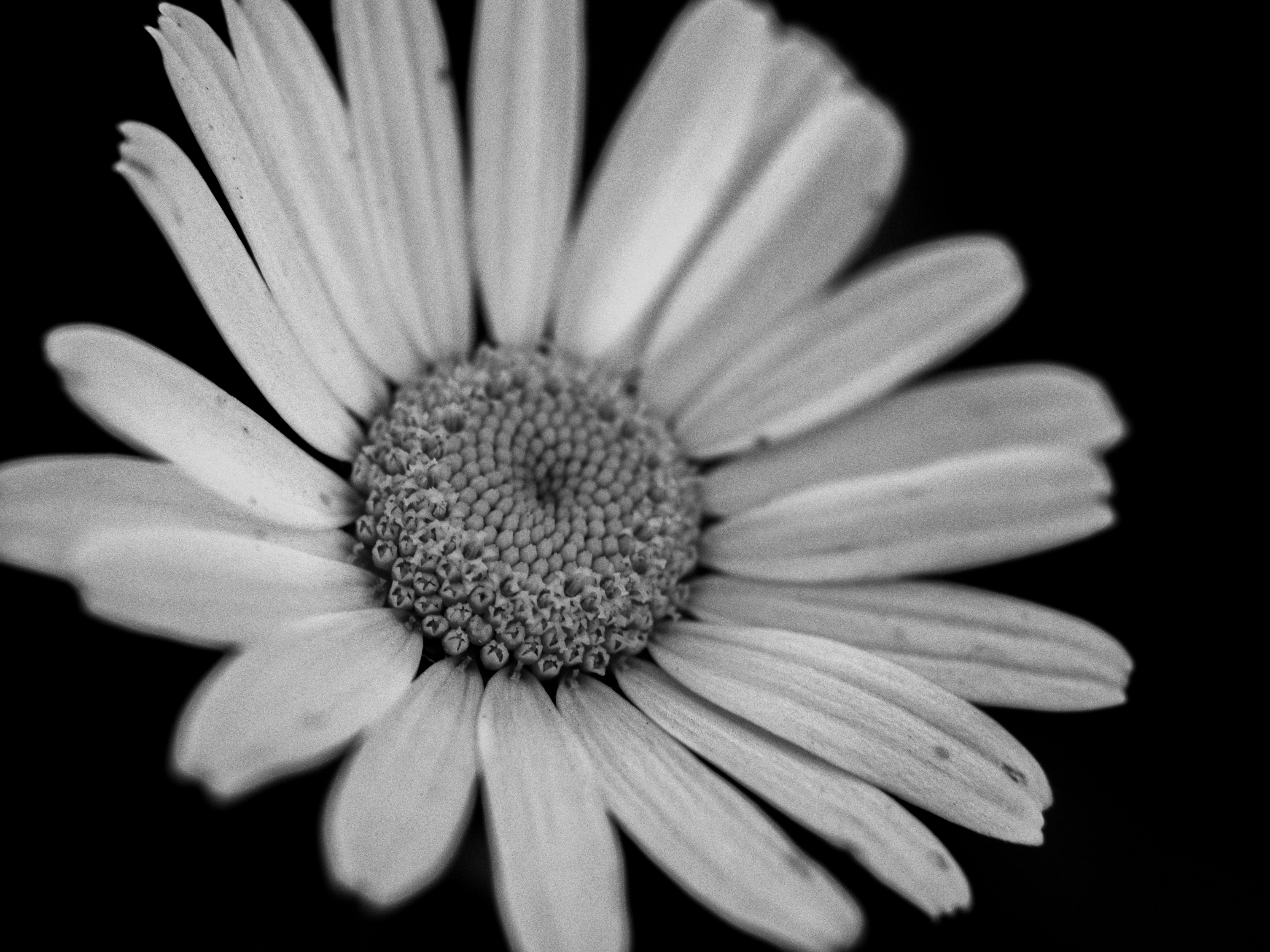 Photo by karim_fox_photography