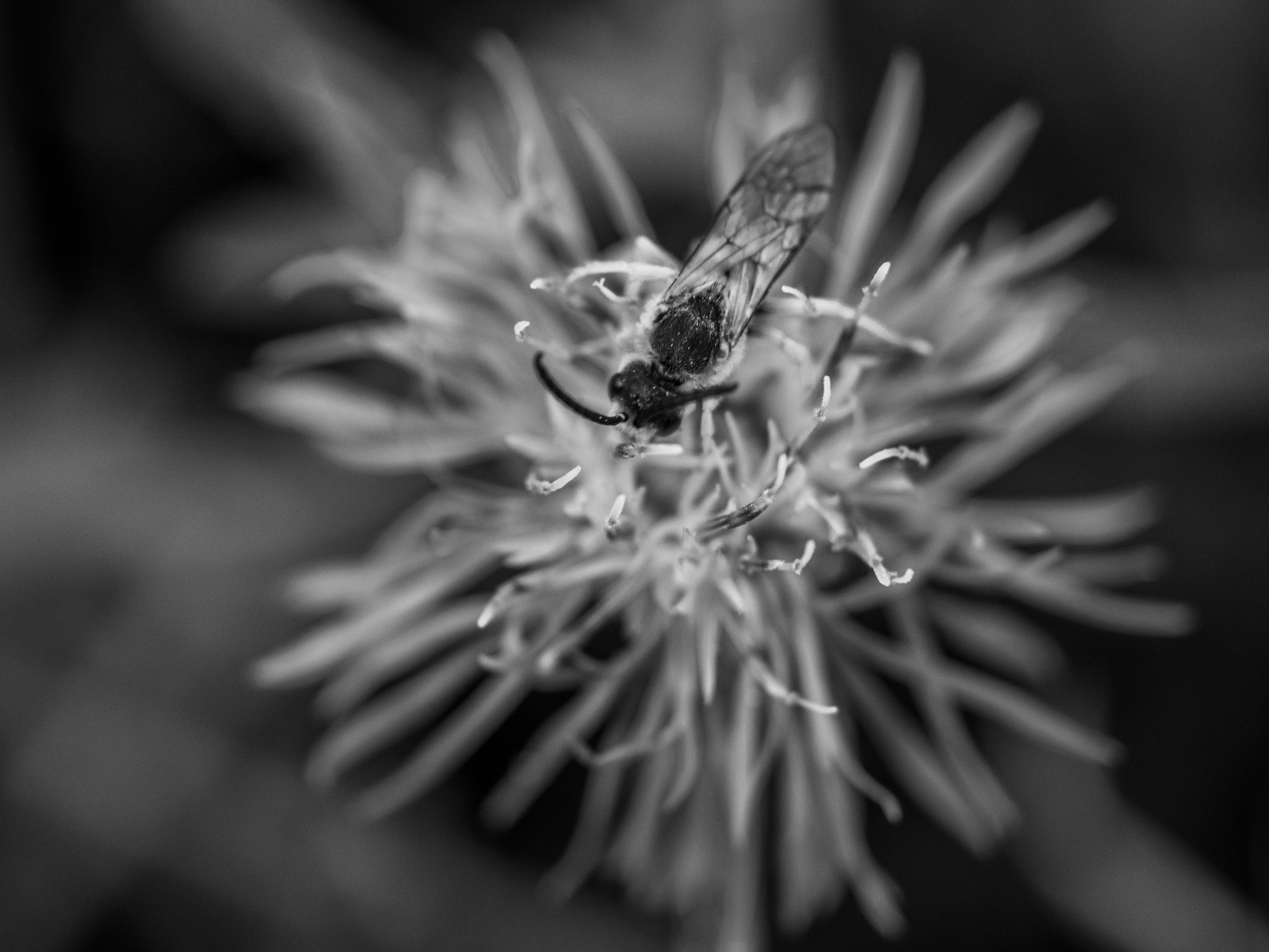 Photo by karim_fox_photography