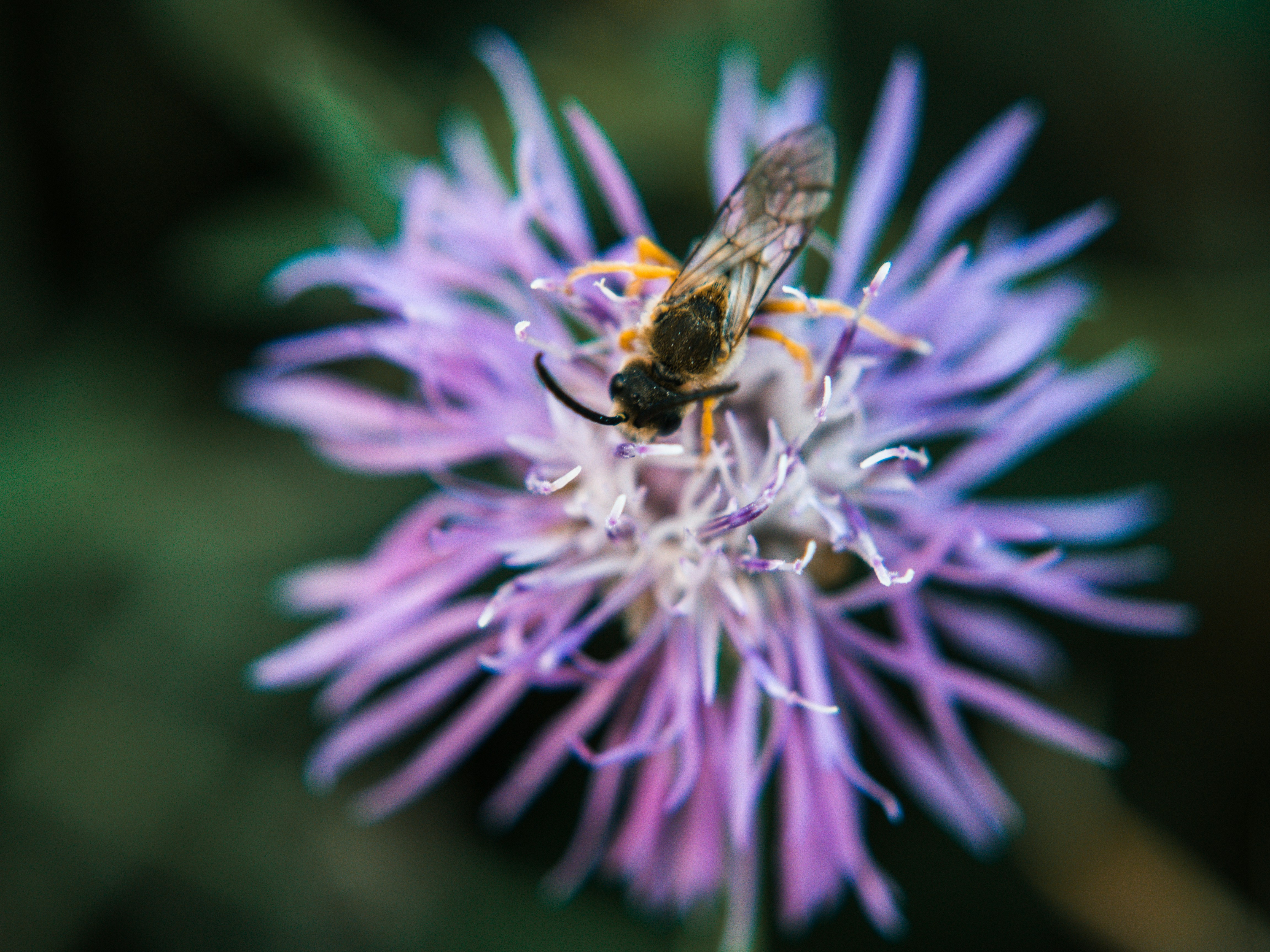 Photo by karim_fox_photography