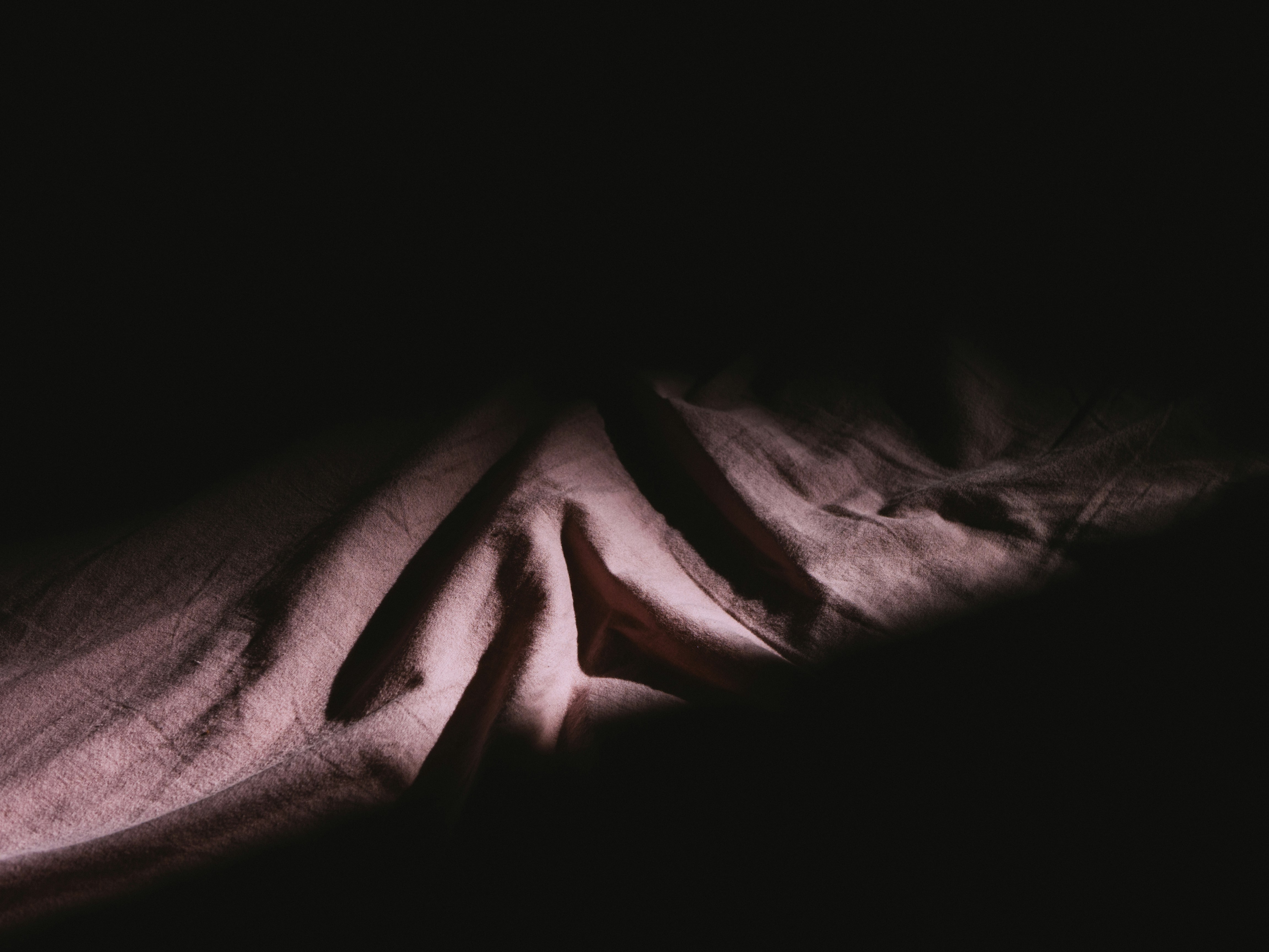 Photo by karim_fox_photography