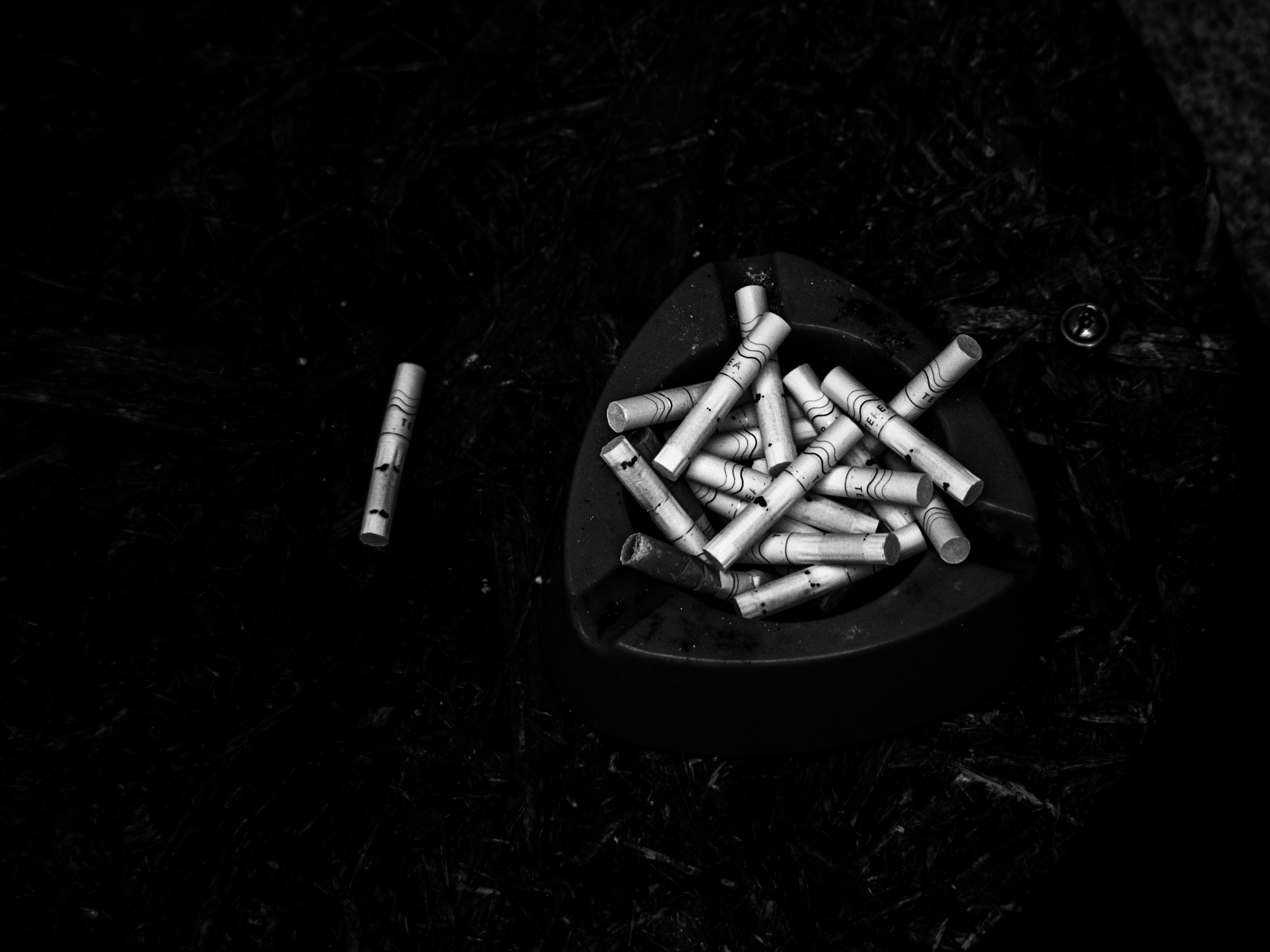 Photo by karim_fox_photography