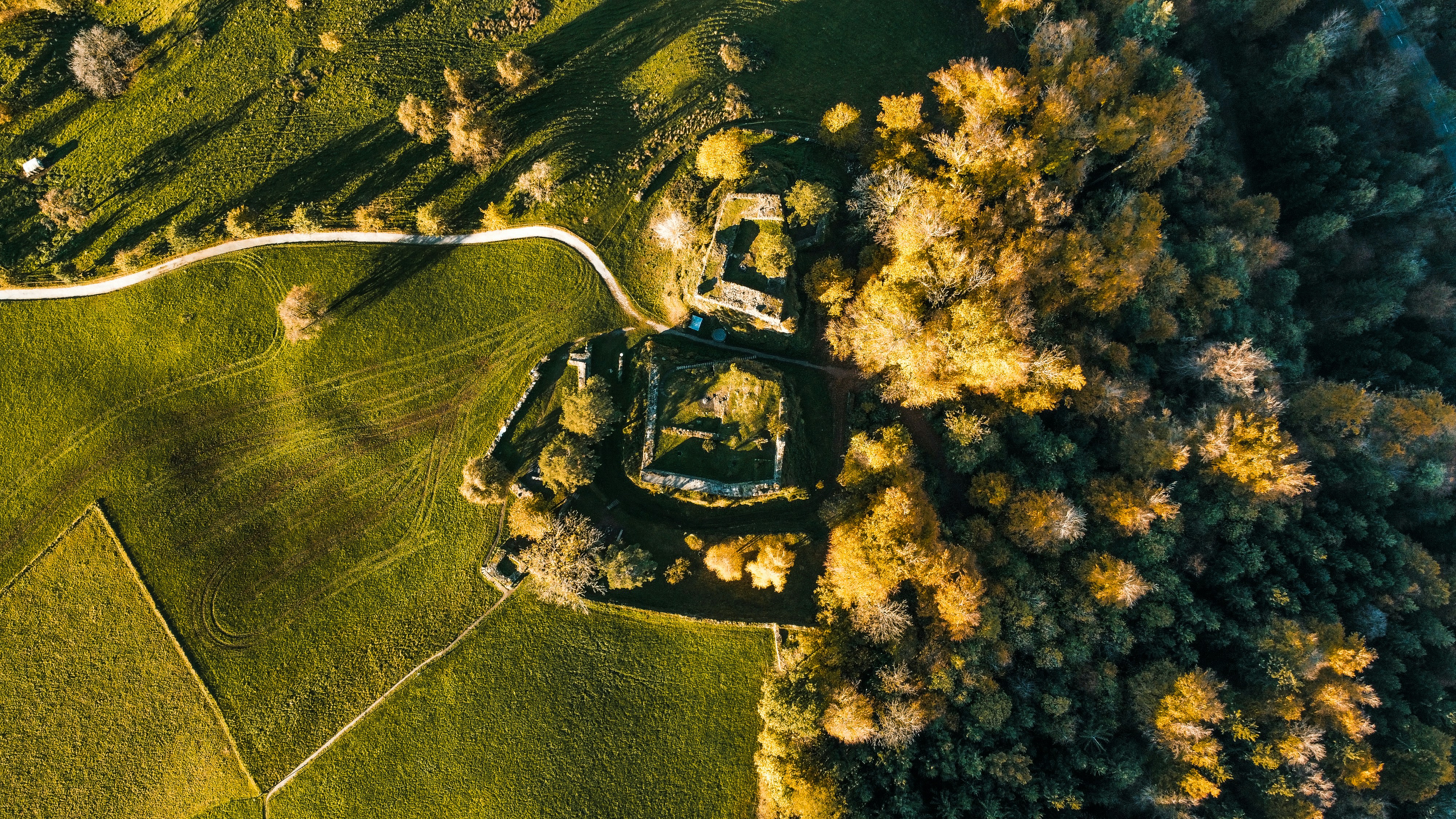 Photo by karim_fox_photography