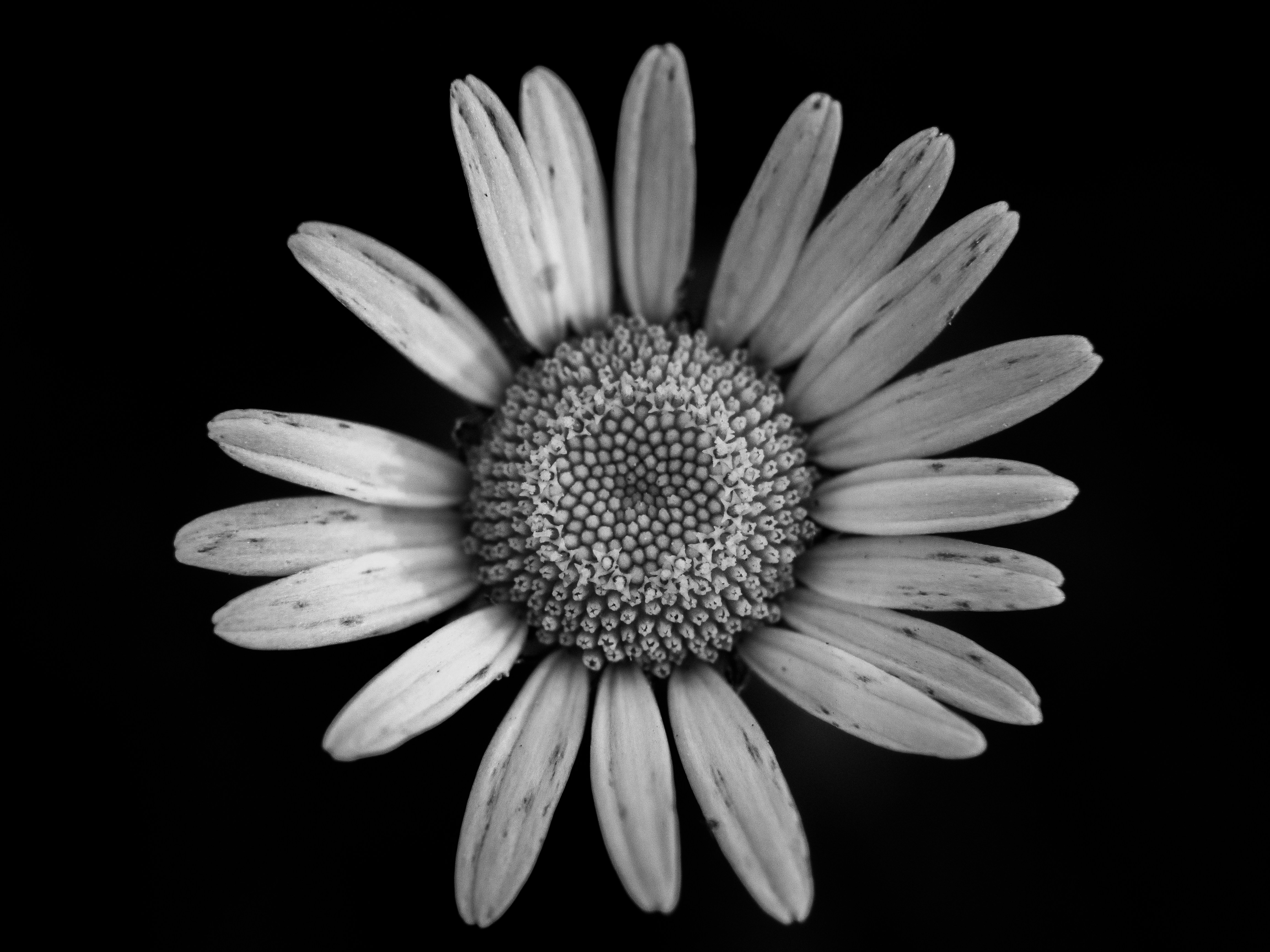 Photo by karim_fox_photography