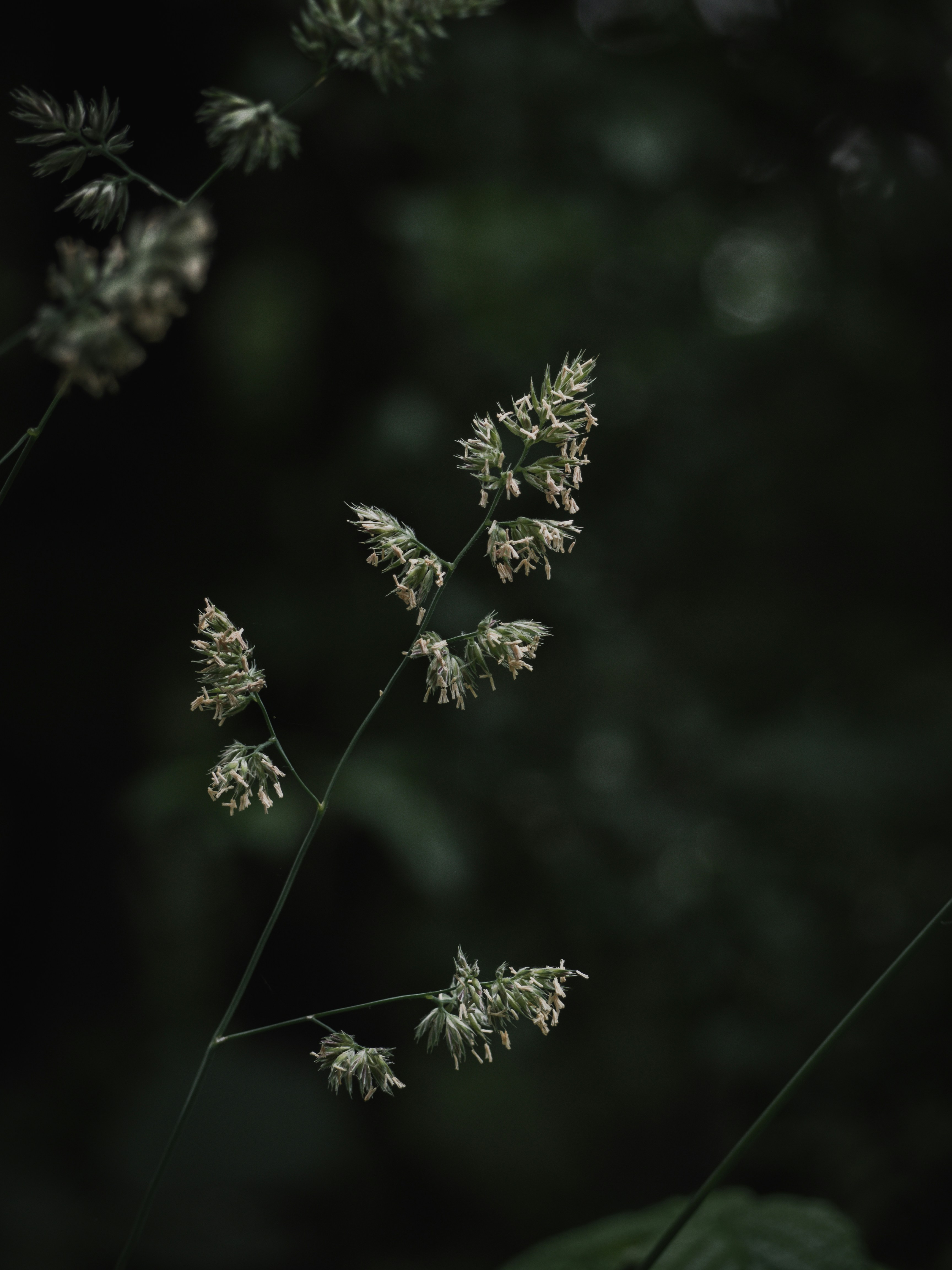 Photo by karim_fox_photography