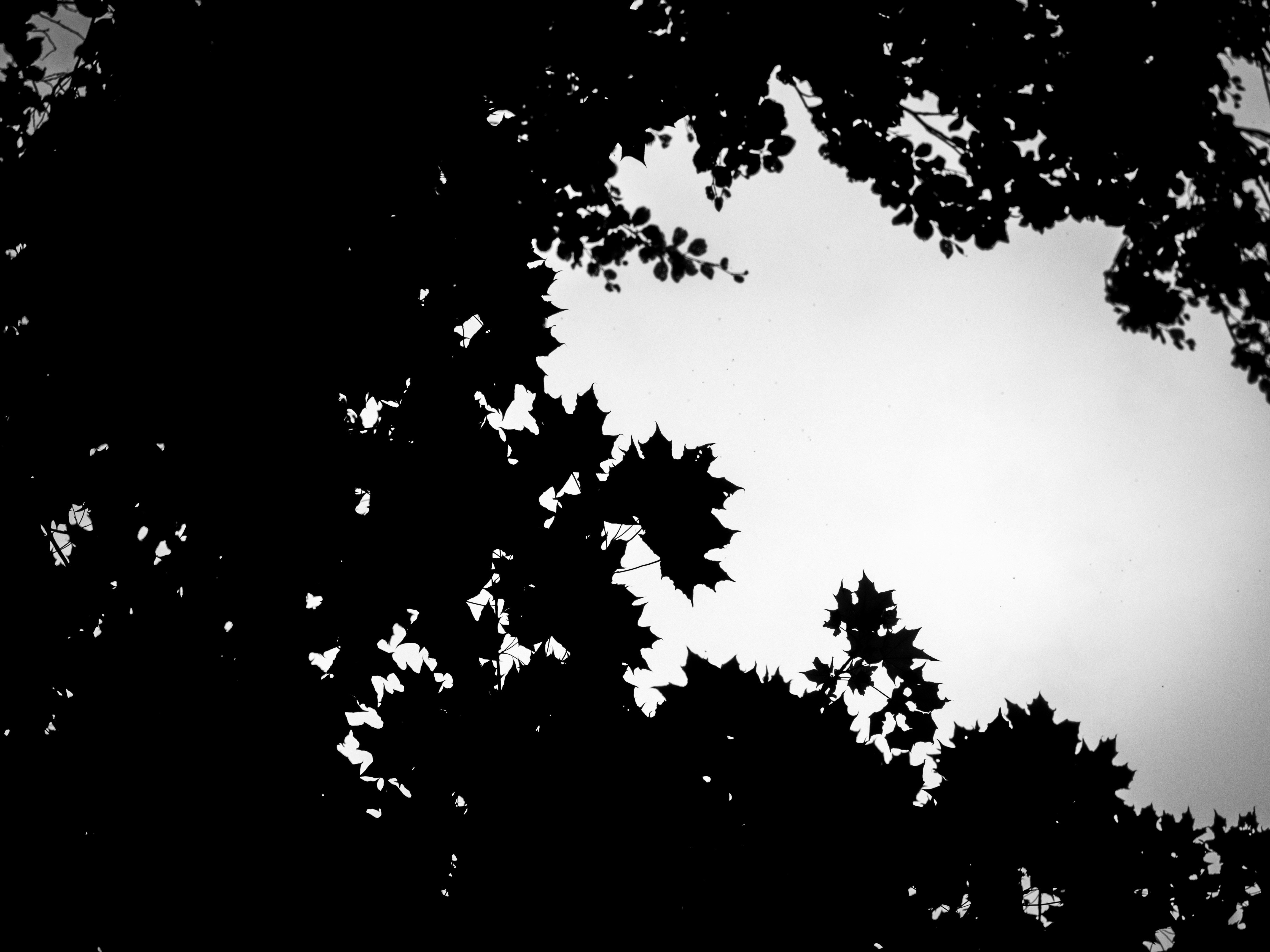 Photo by karim_fox_photography