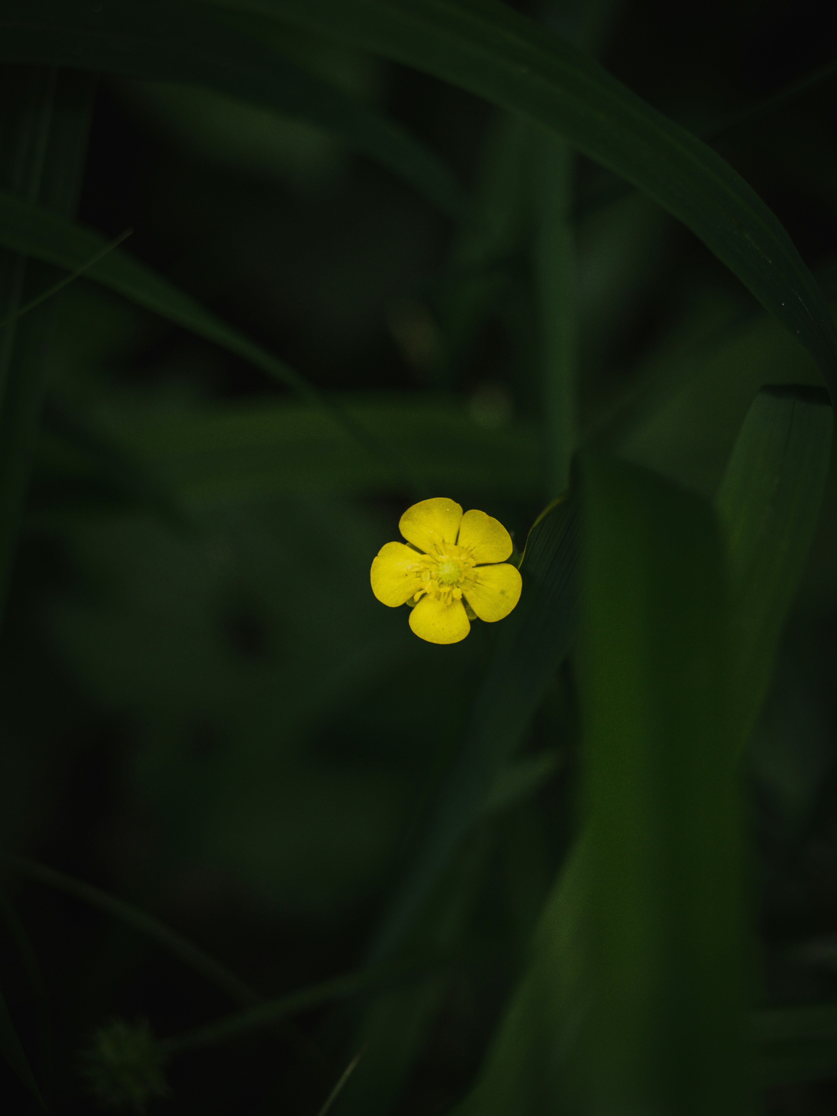 Photo by karim_fox_photography