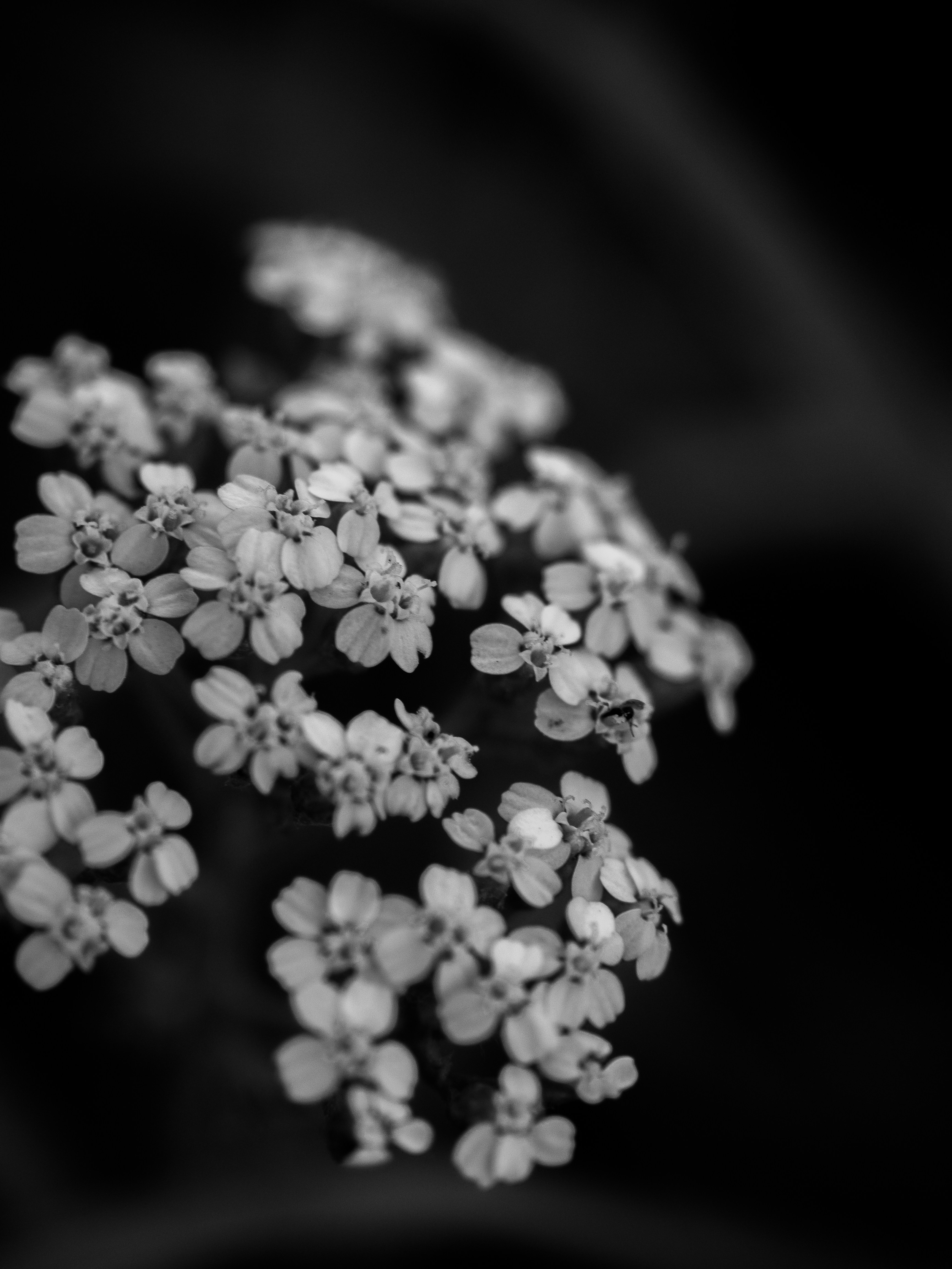 Photo by karim_fox_photography