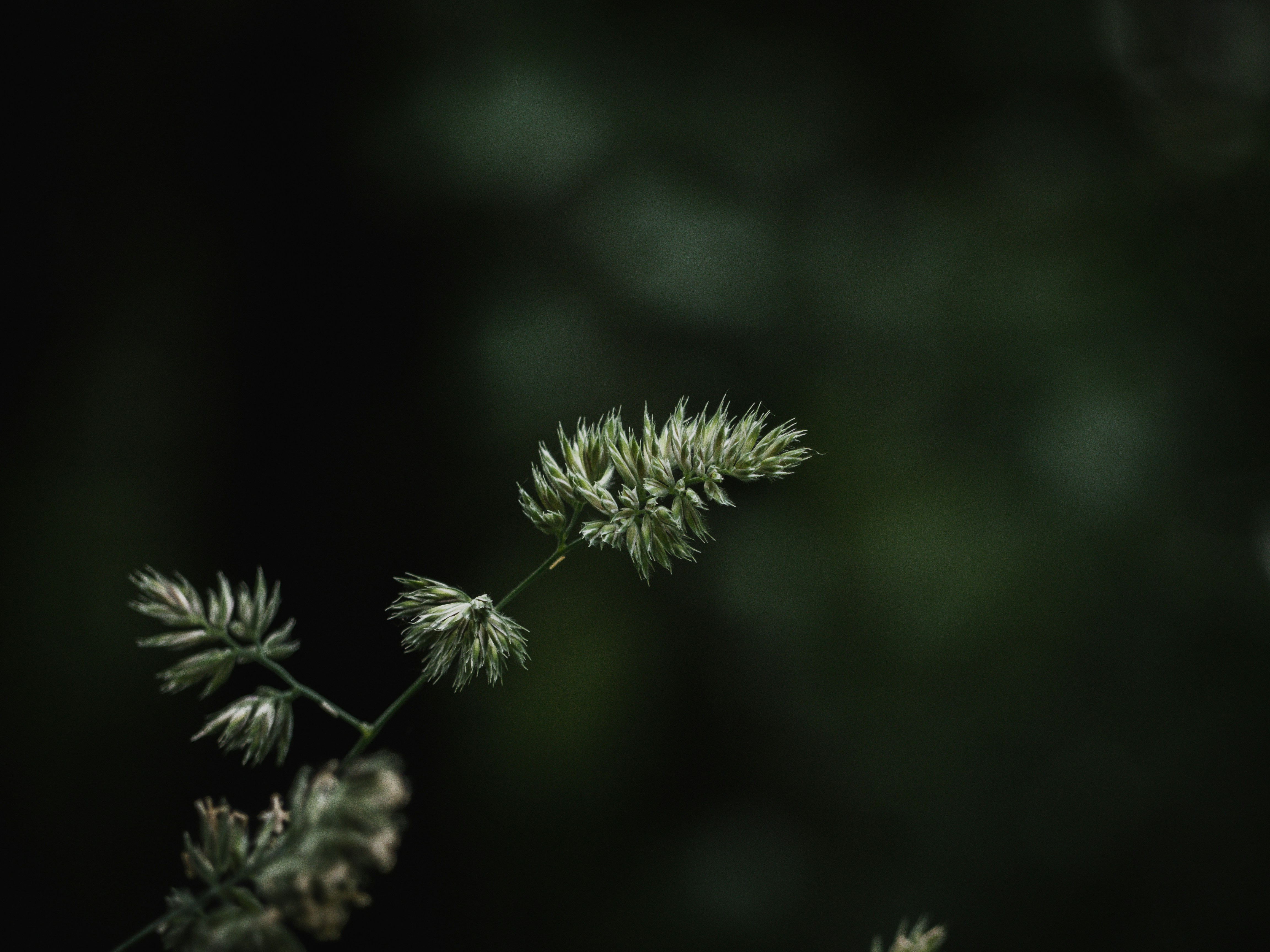 Photo by karim_fox_photography