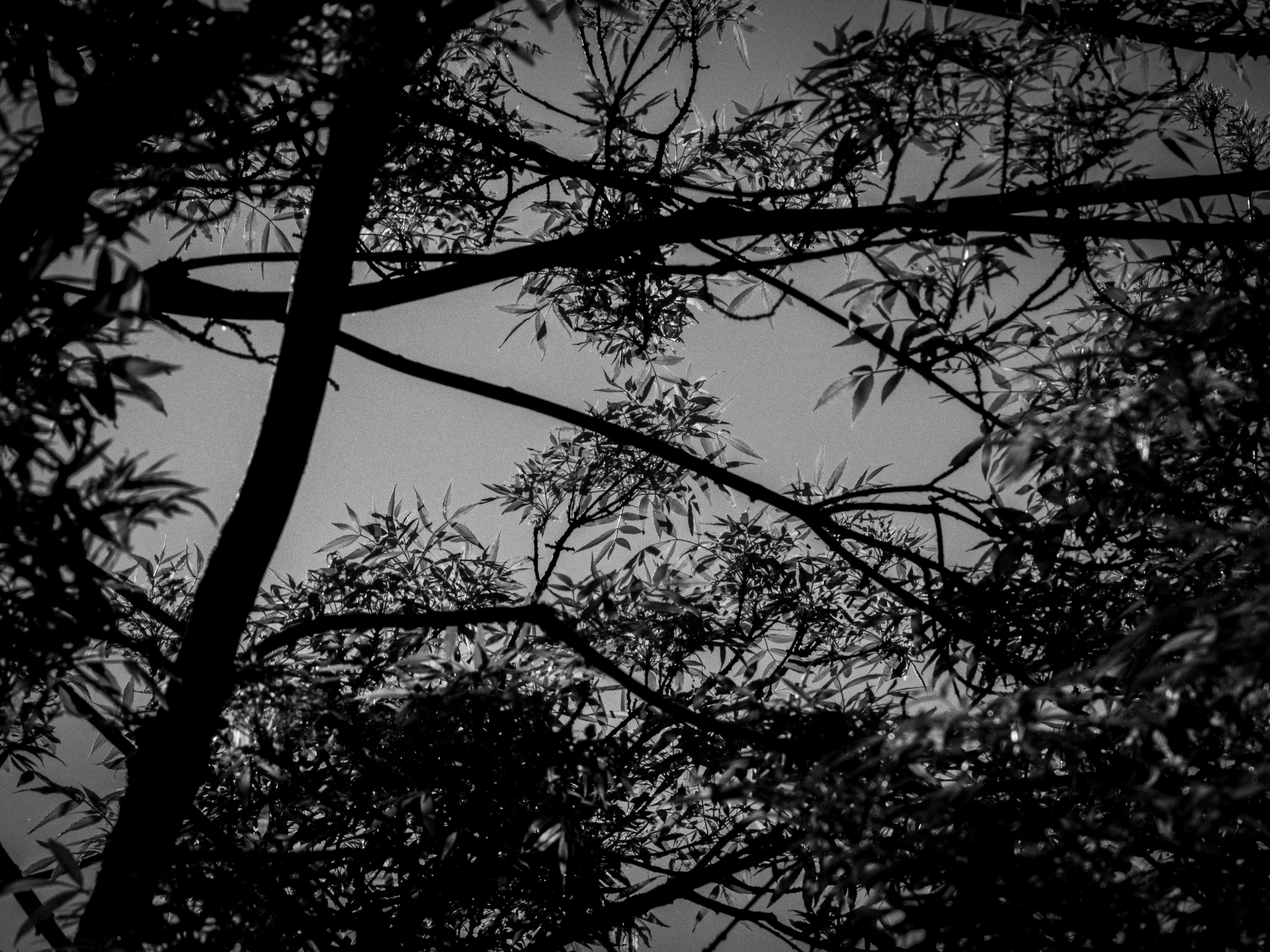 Photo by karim_fox_photography