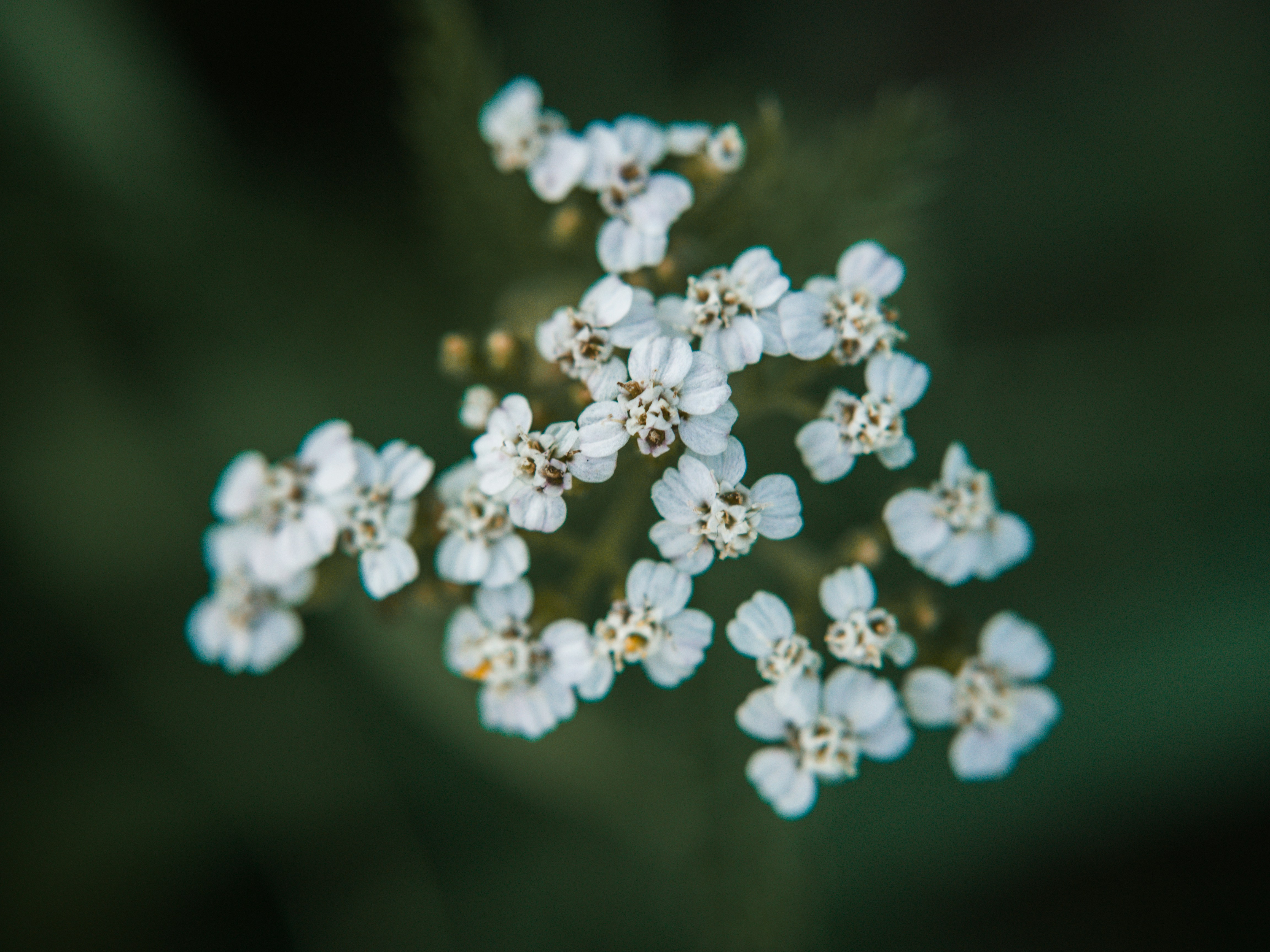 Photo by karim_fox_photography