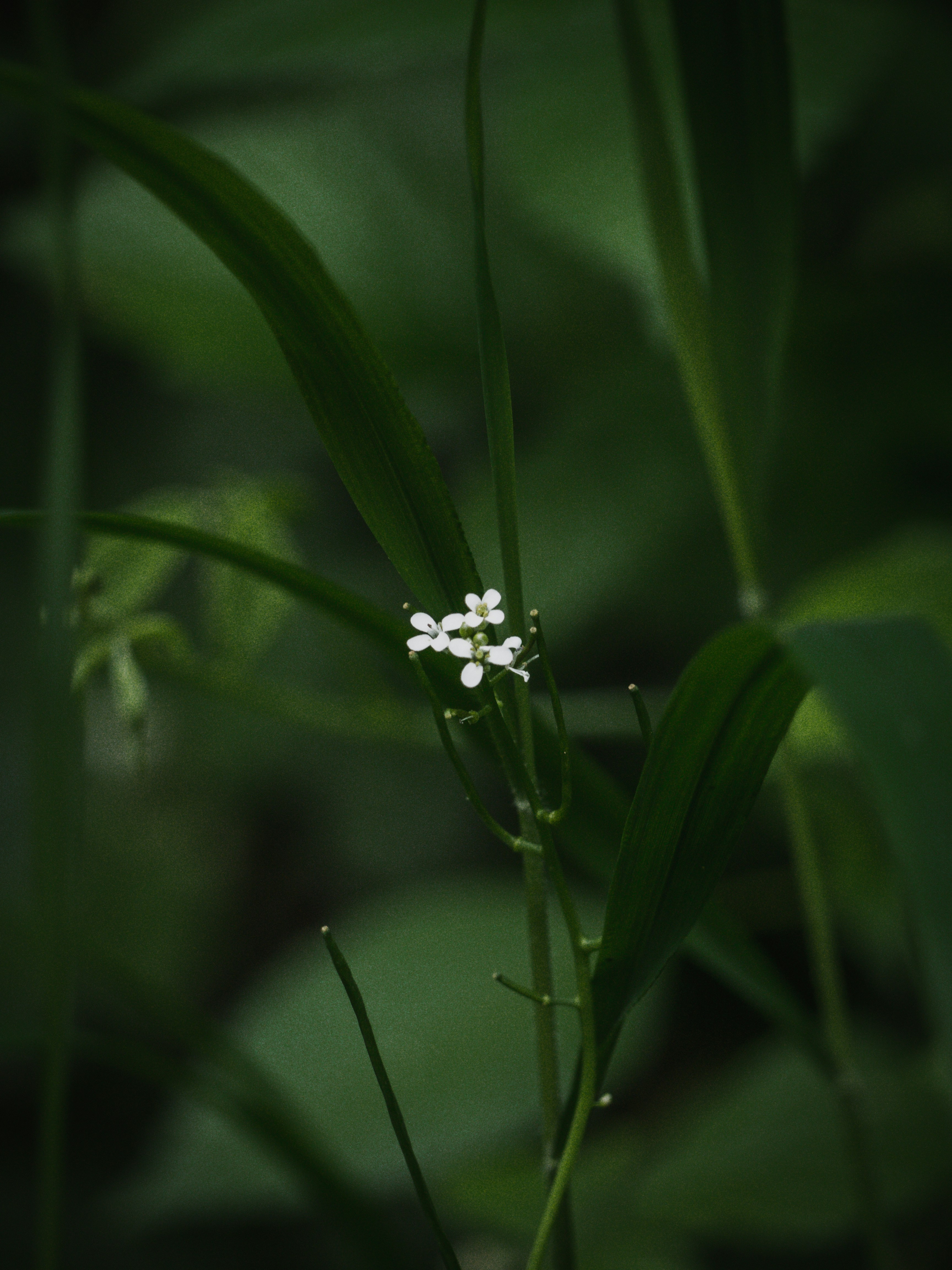 Photo by karim_fox_photography