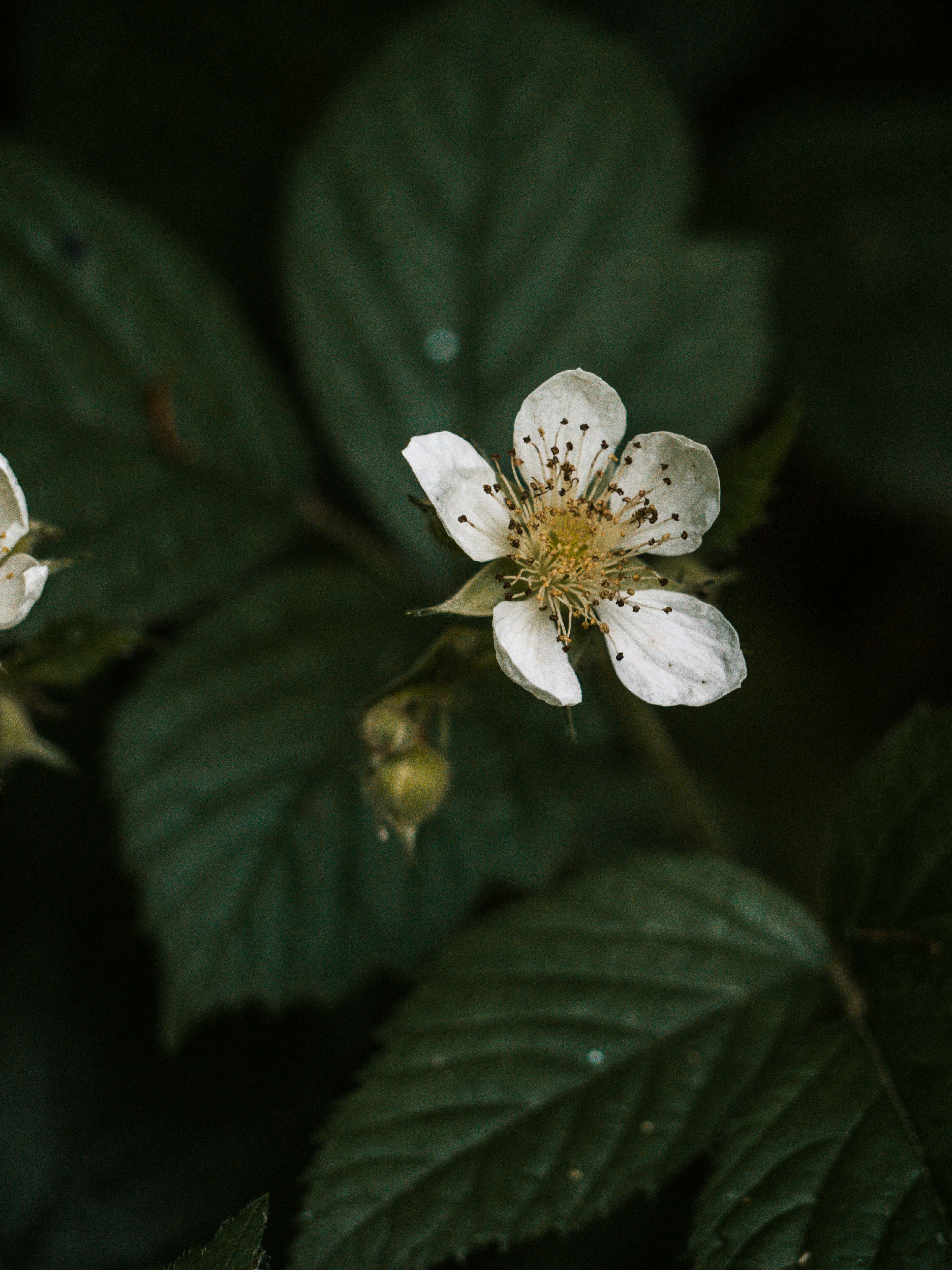 Photo by karim_fox_photography