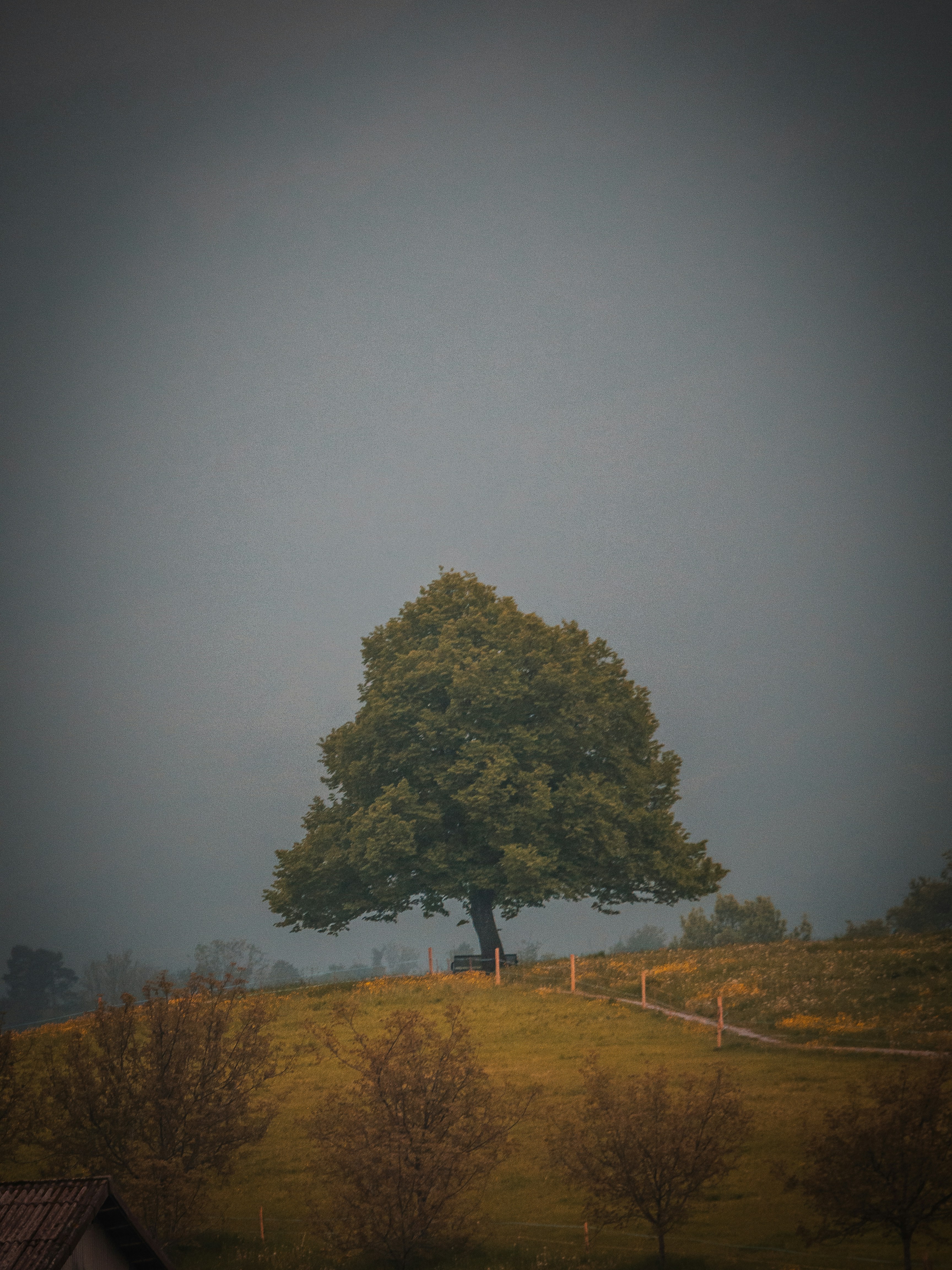 Photo by karim_fox_photography