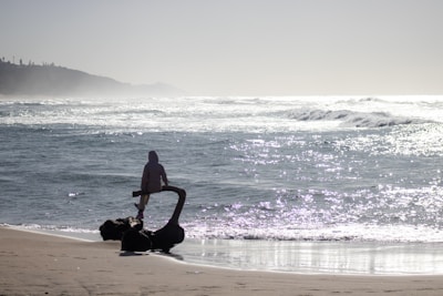 A casual beach scene showing a person wearing a Lapartisil hoodie, sitting on driftwood with surfboard resting beside.