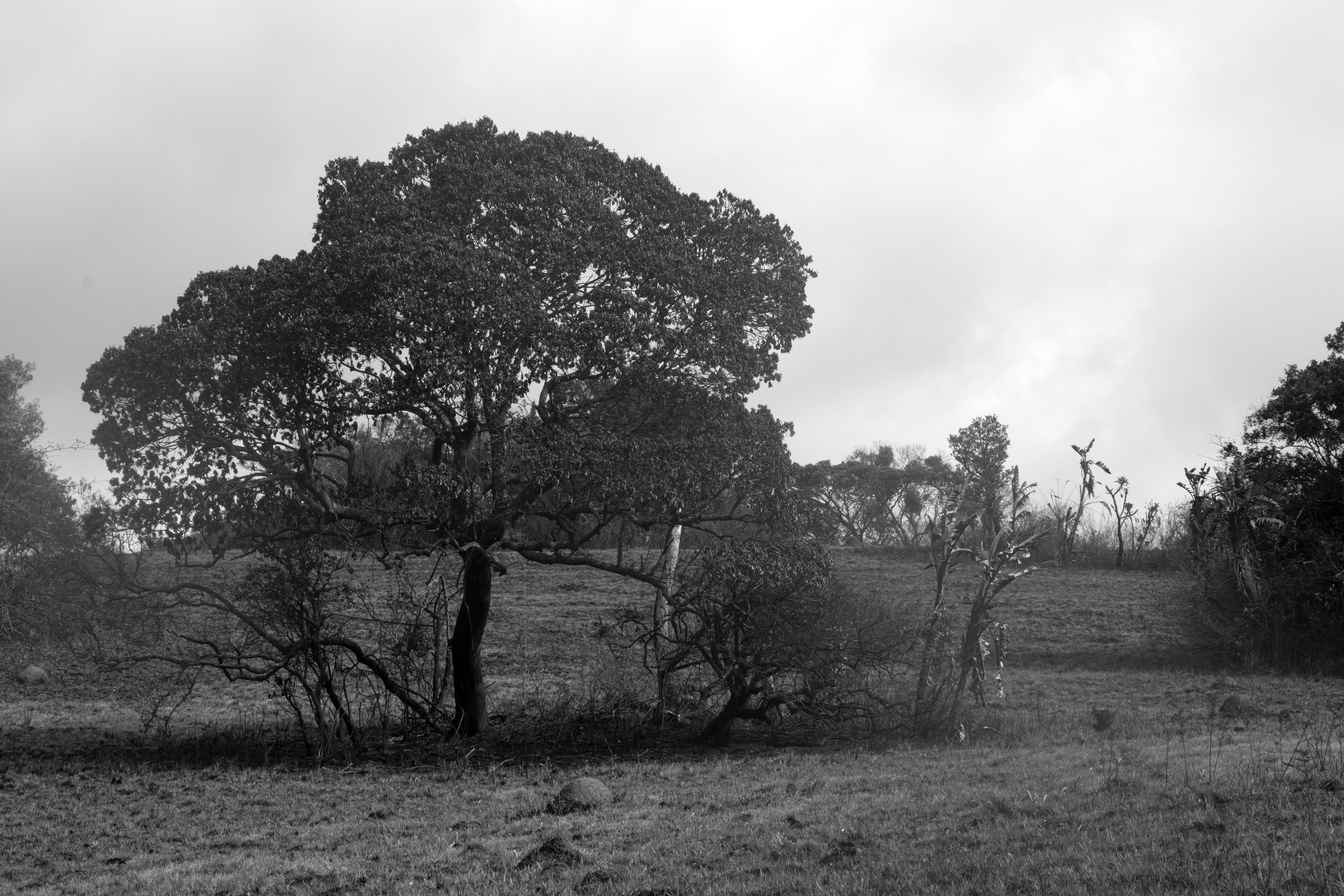 Photo by tangentstudios