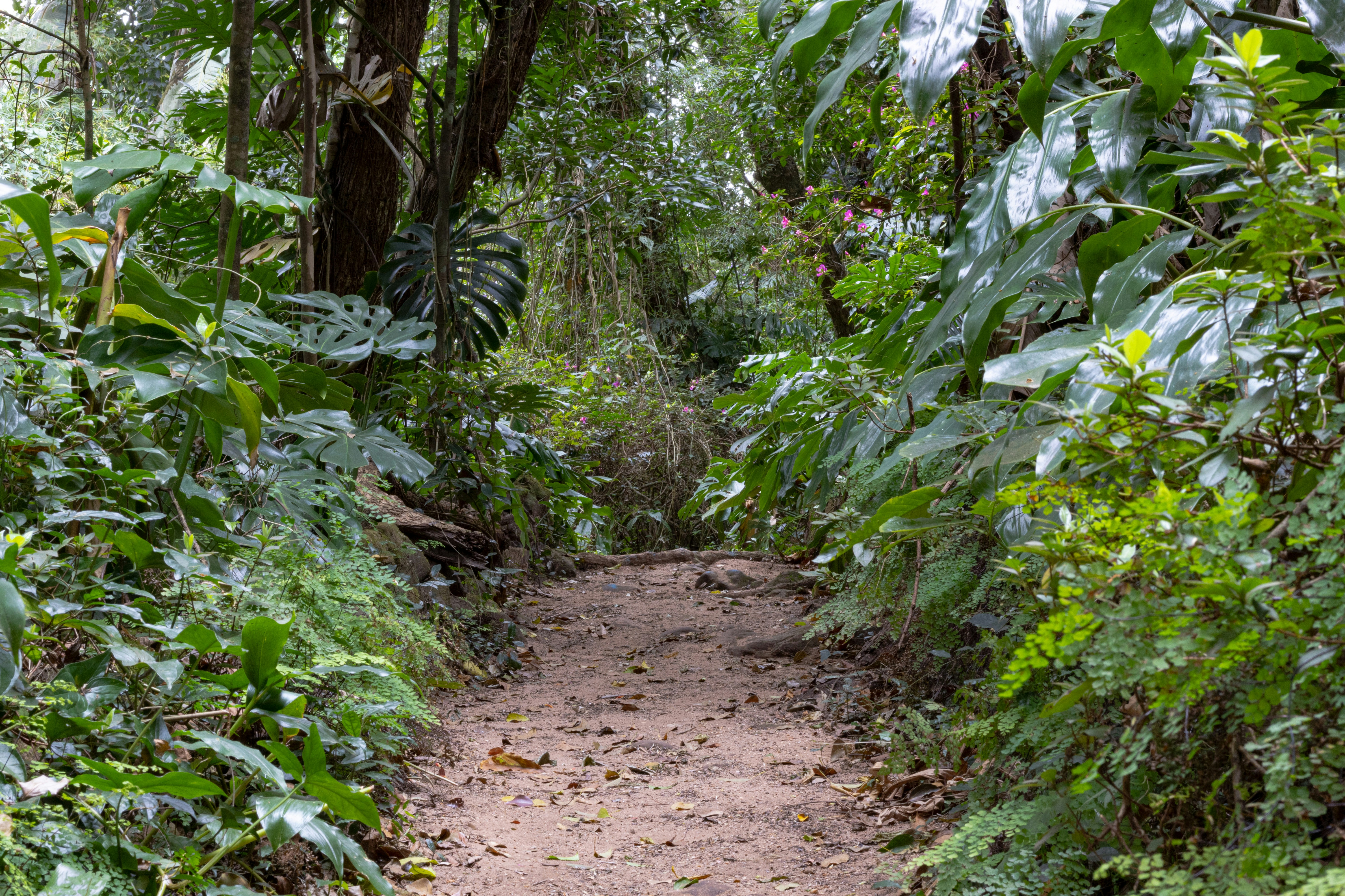 Photo by tangentstudios