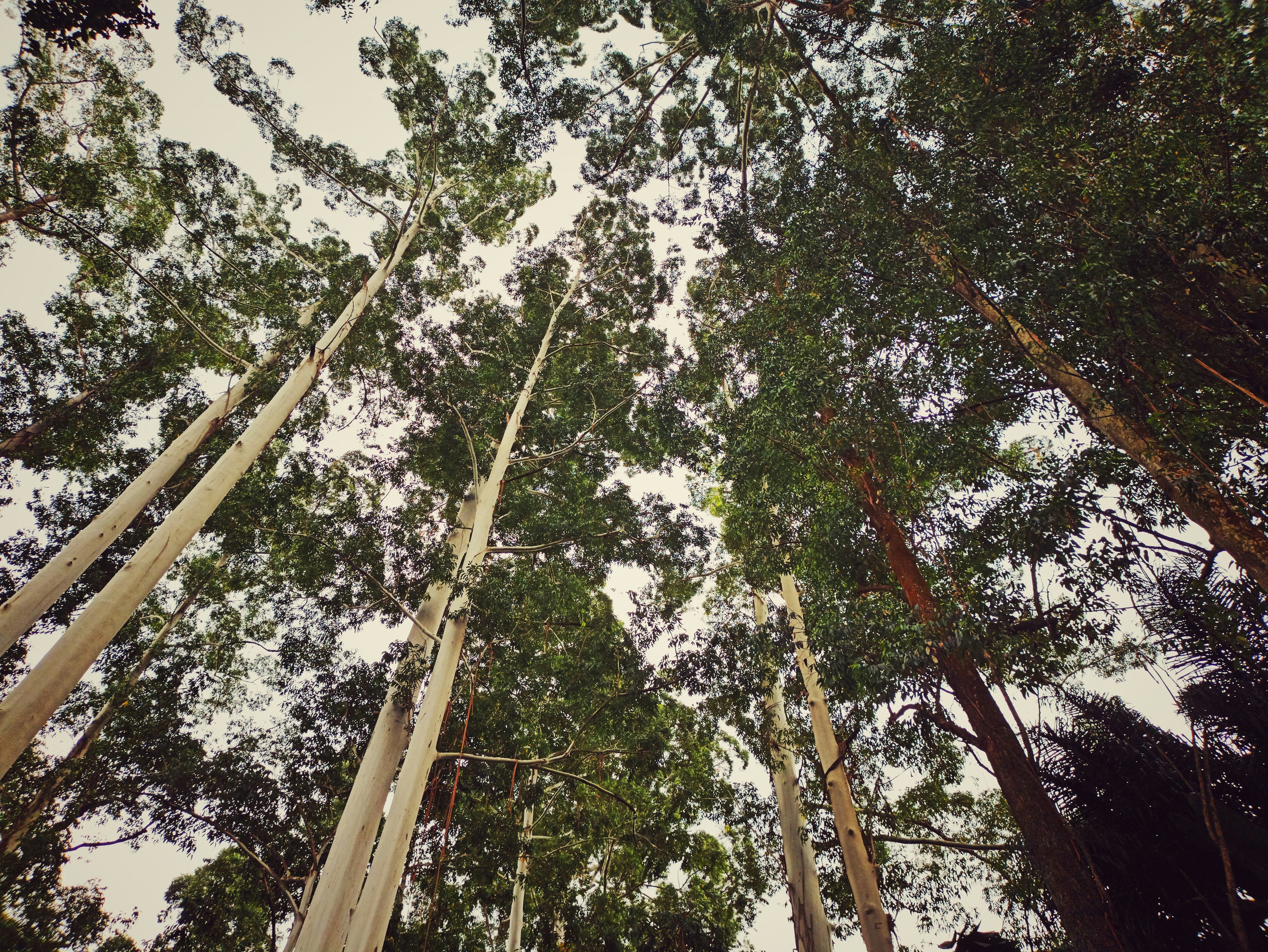 Photo by tangentstudios