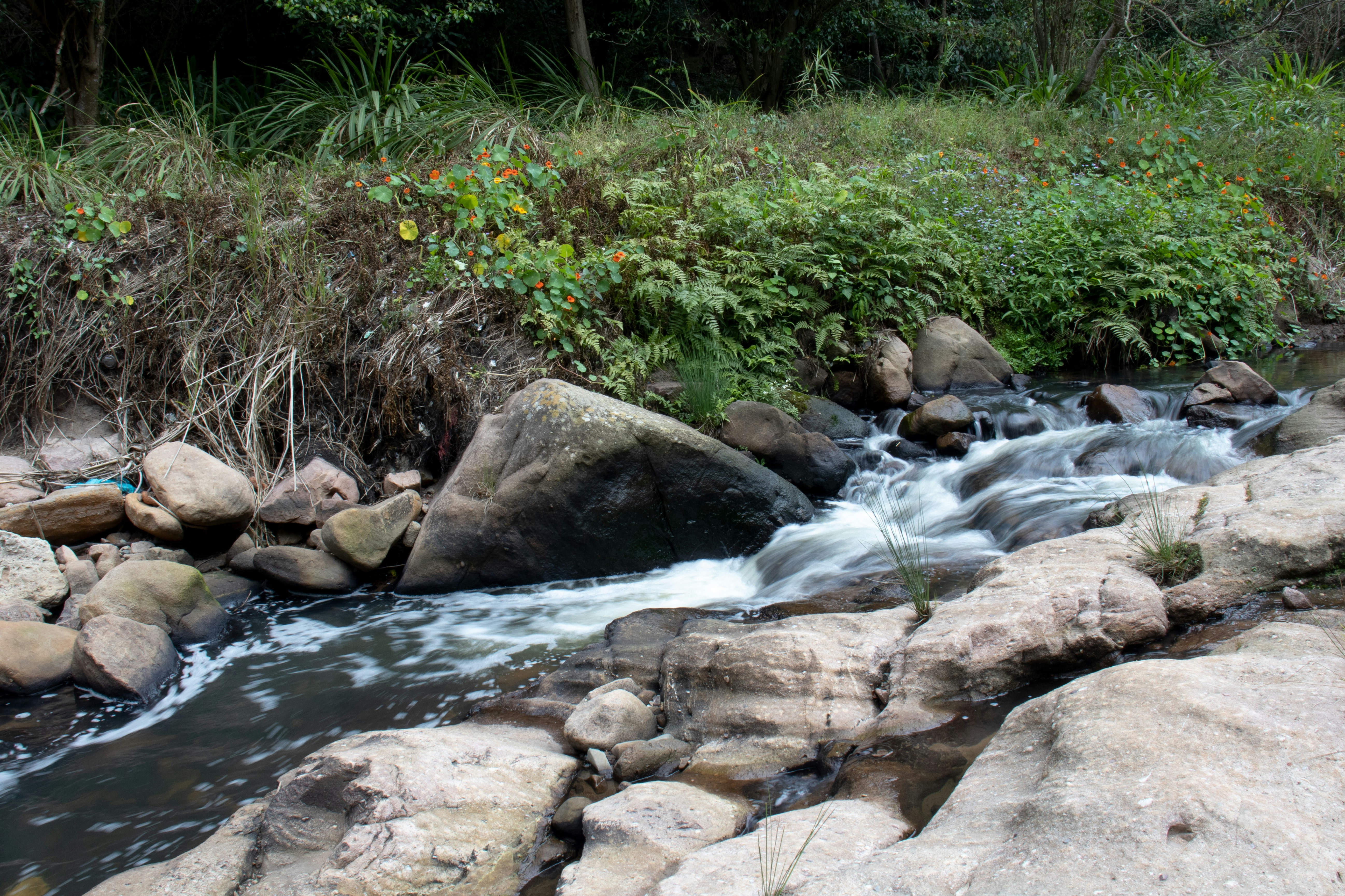 Photo by tangentstudios