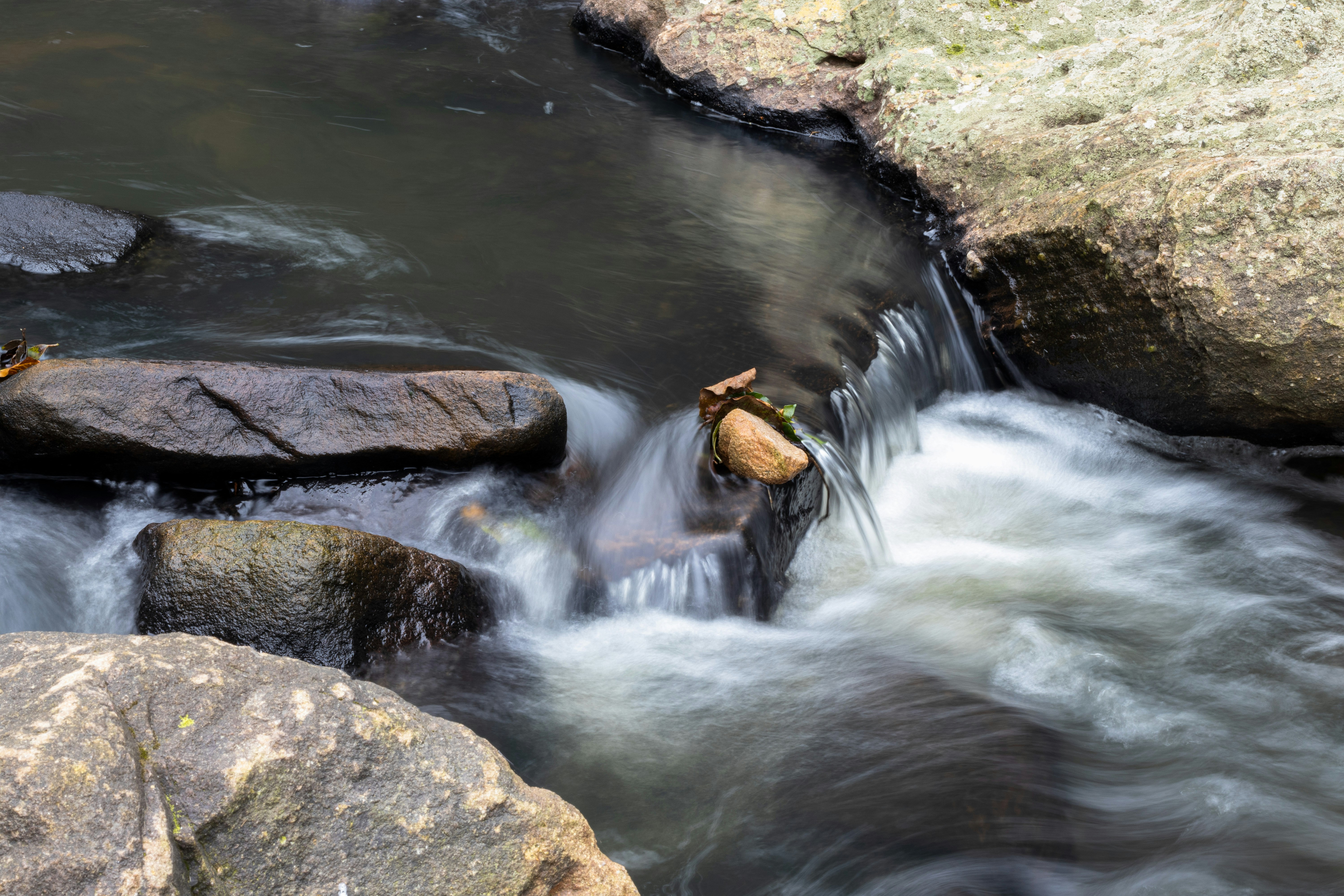 Photo by tangentstudios