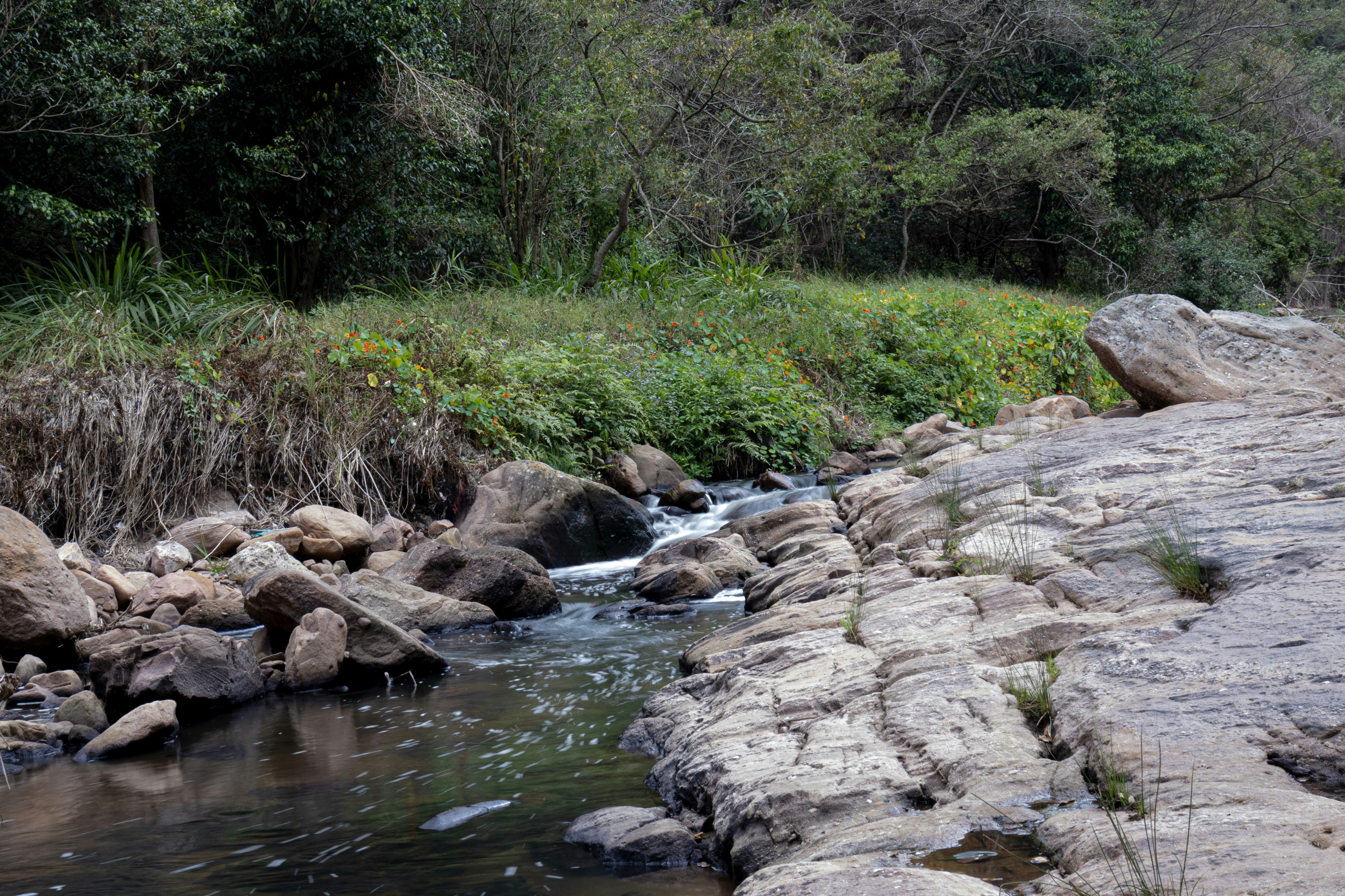 Photo by tangentstudios