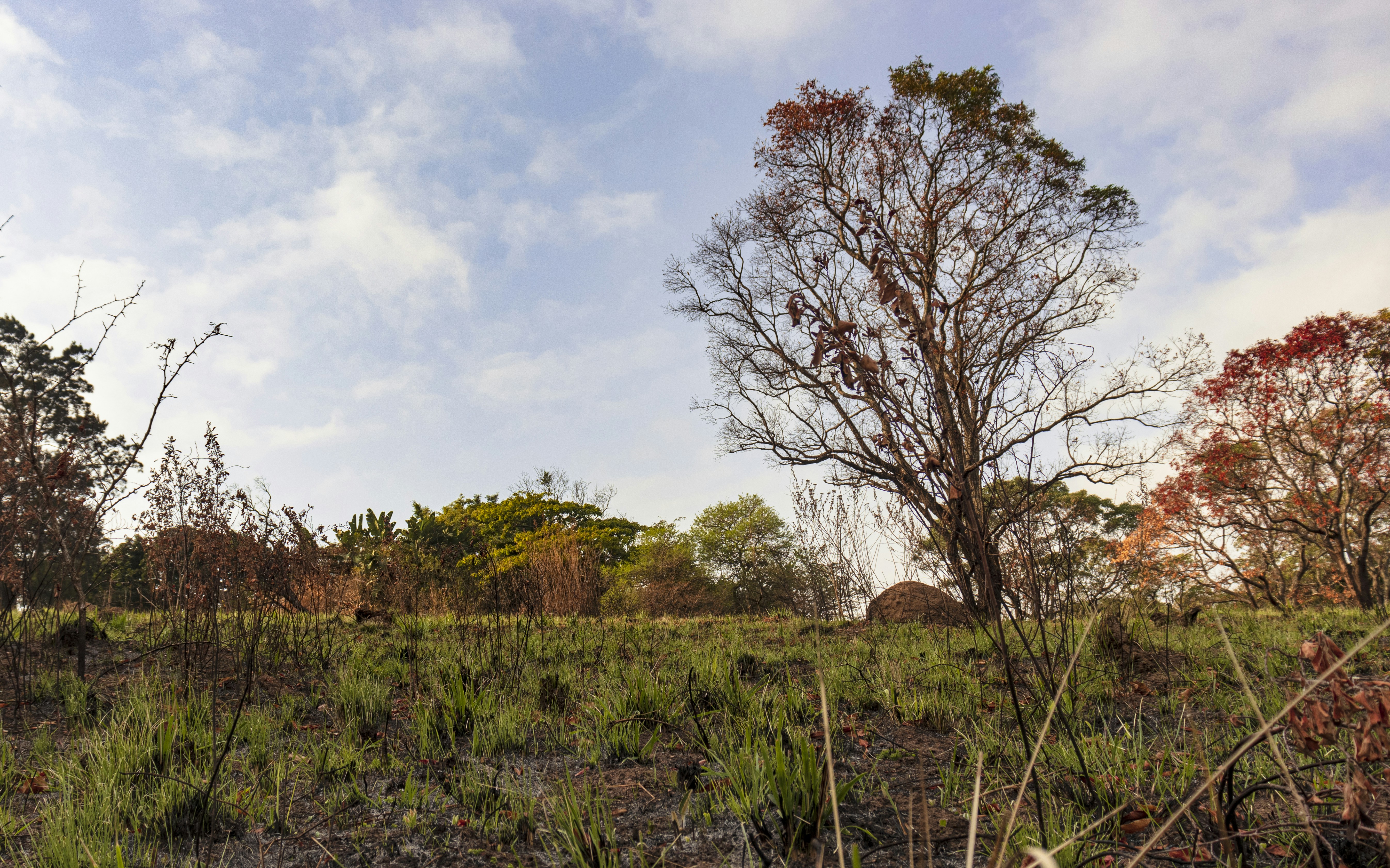 Photo by tangentstudios