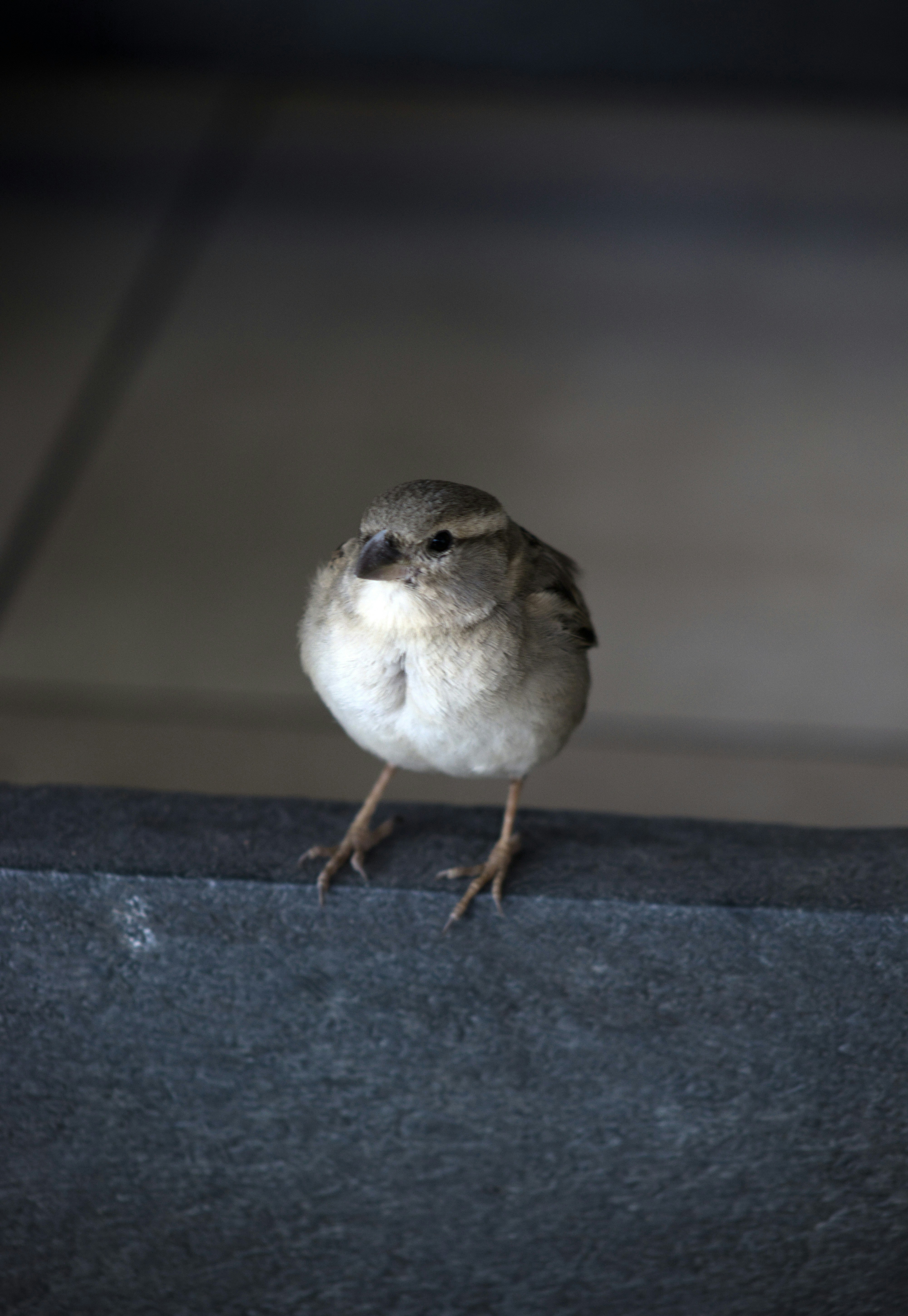 Photo by tangentstudios