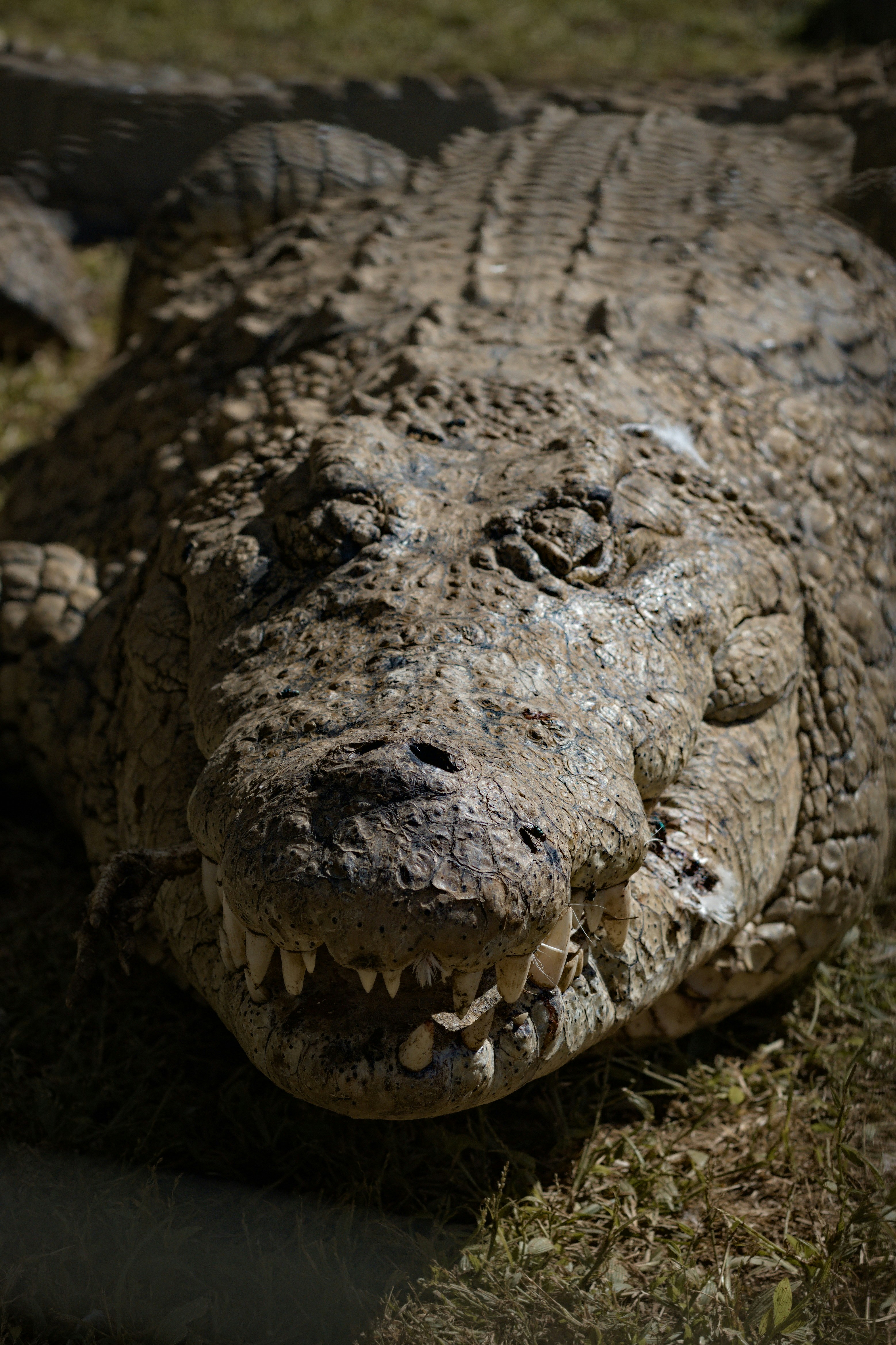 Photo by tangentstudios