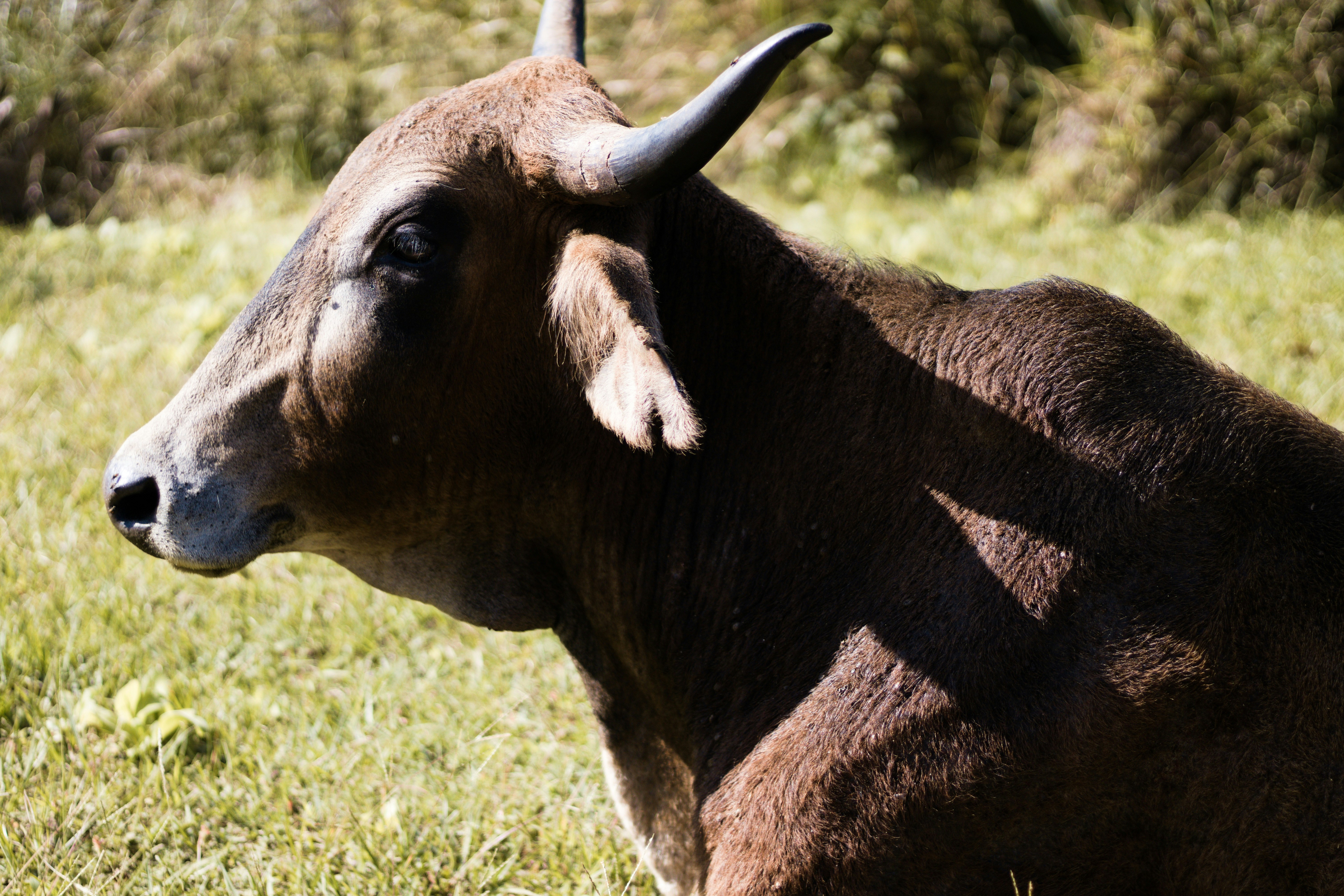 Photo by tangentstudios