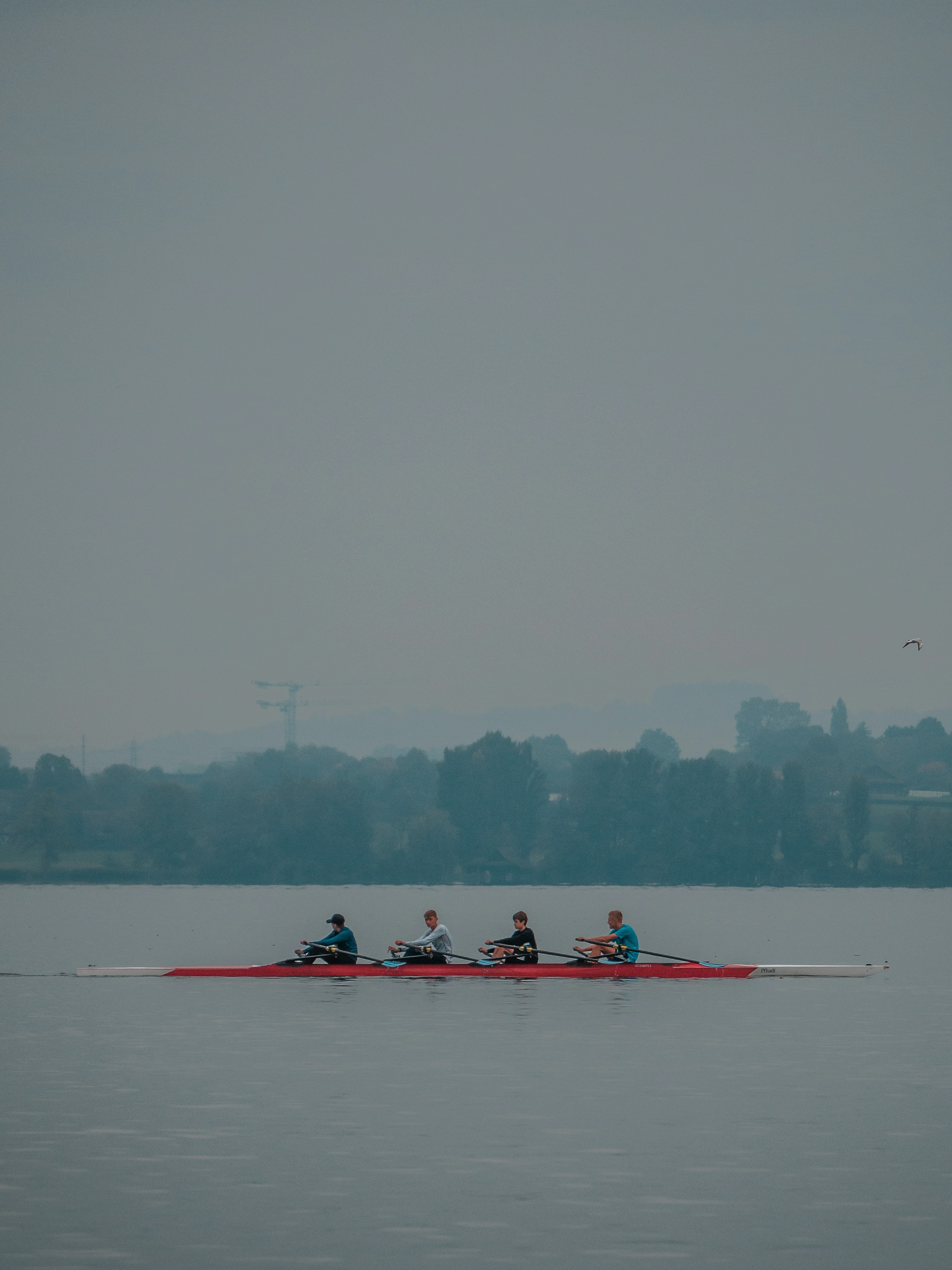 Photo by karim_fox_photography