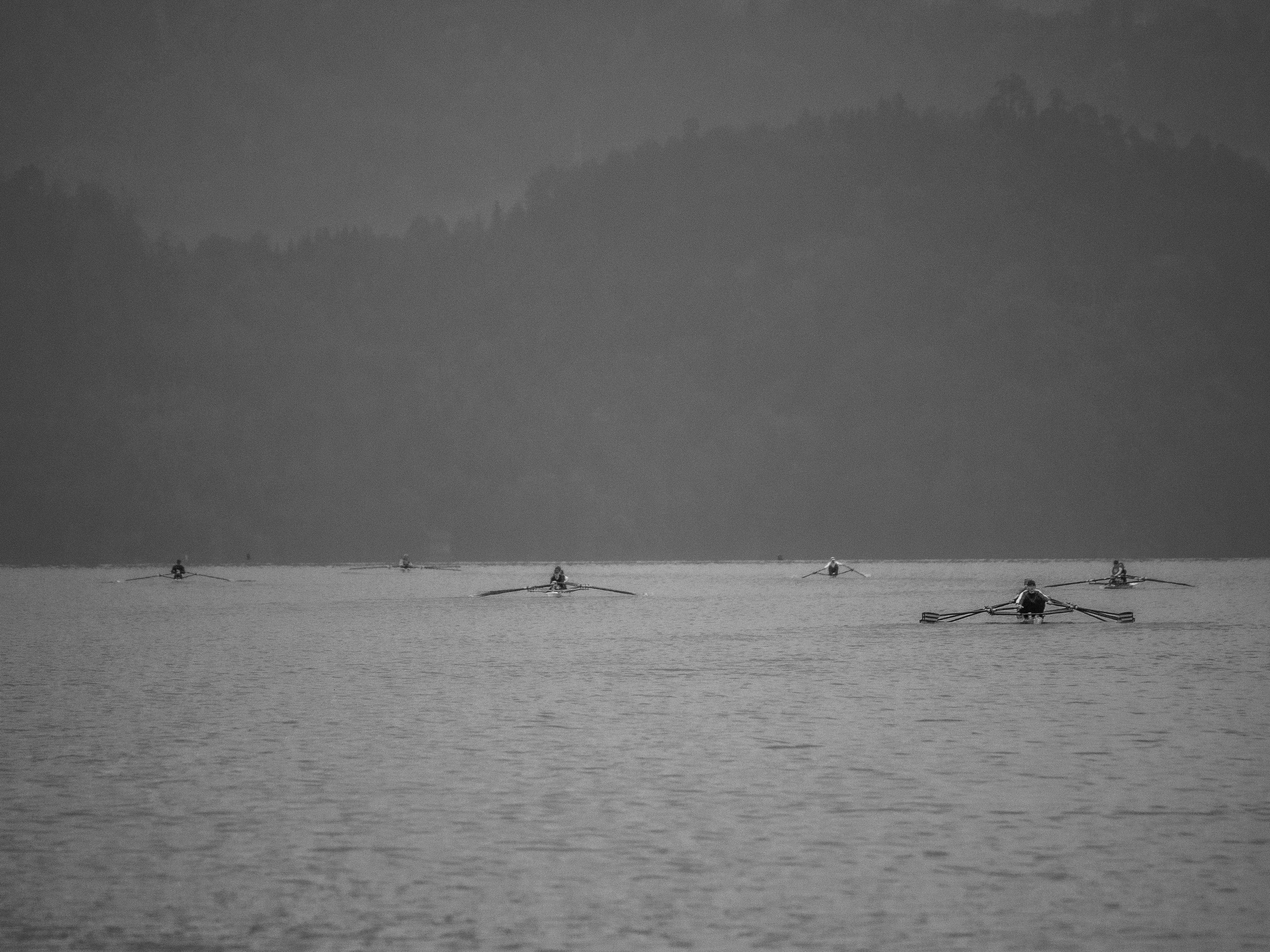 Photo by karim_fox_photography