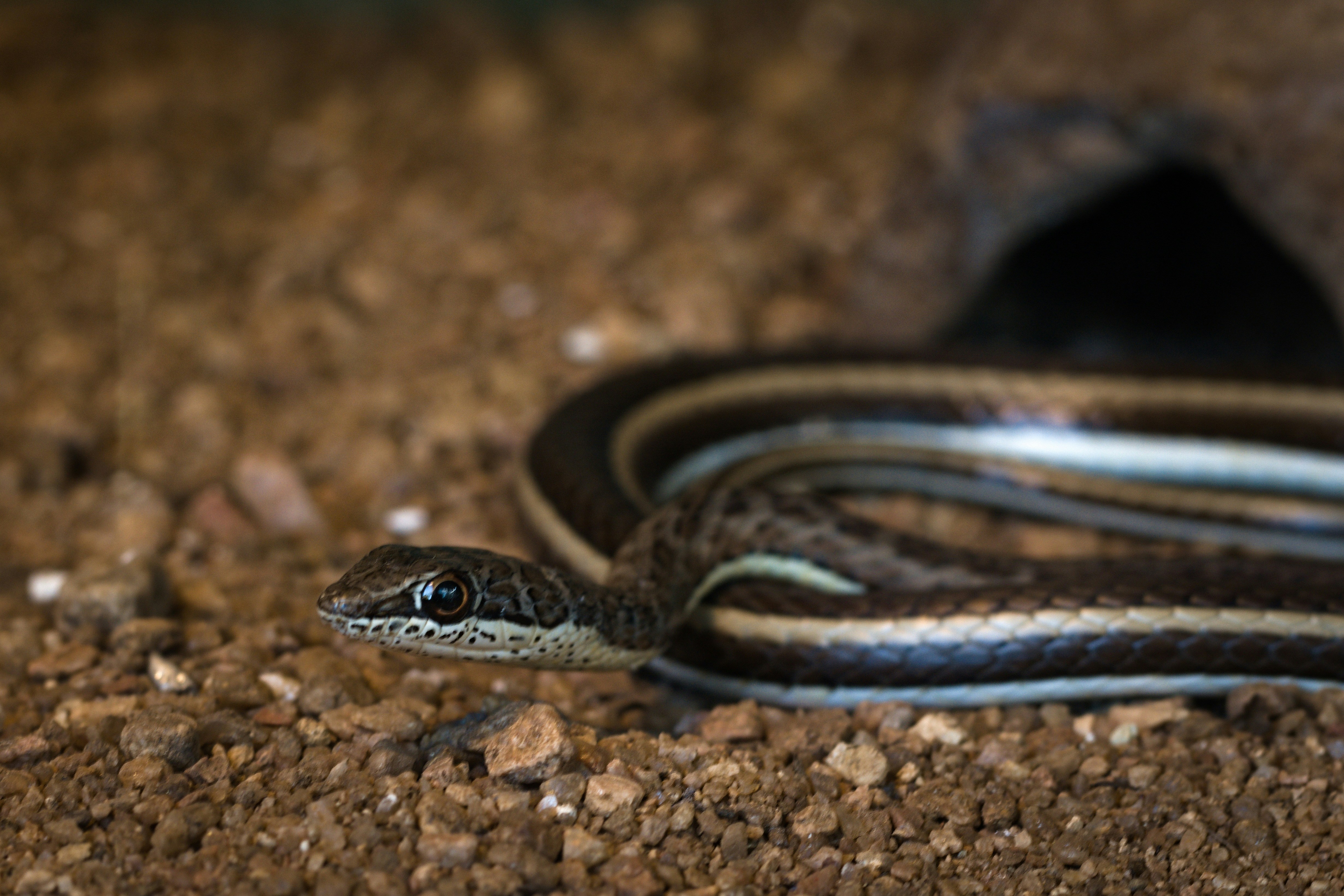 Photo by tangentstudios