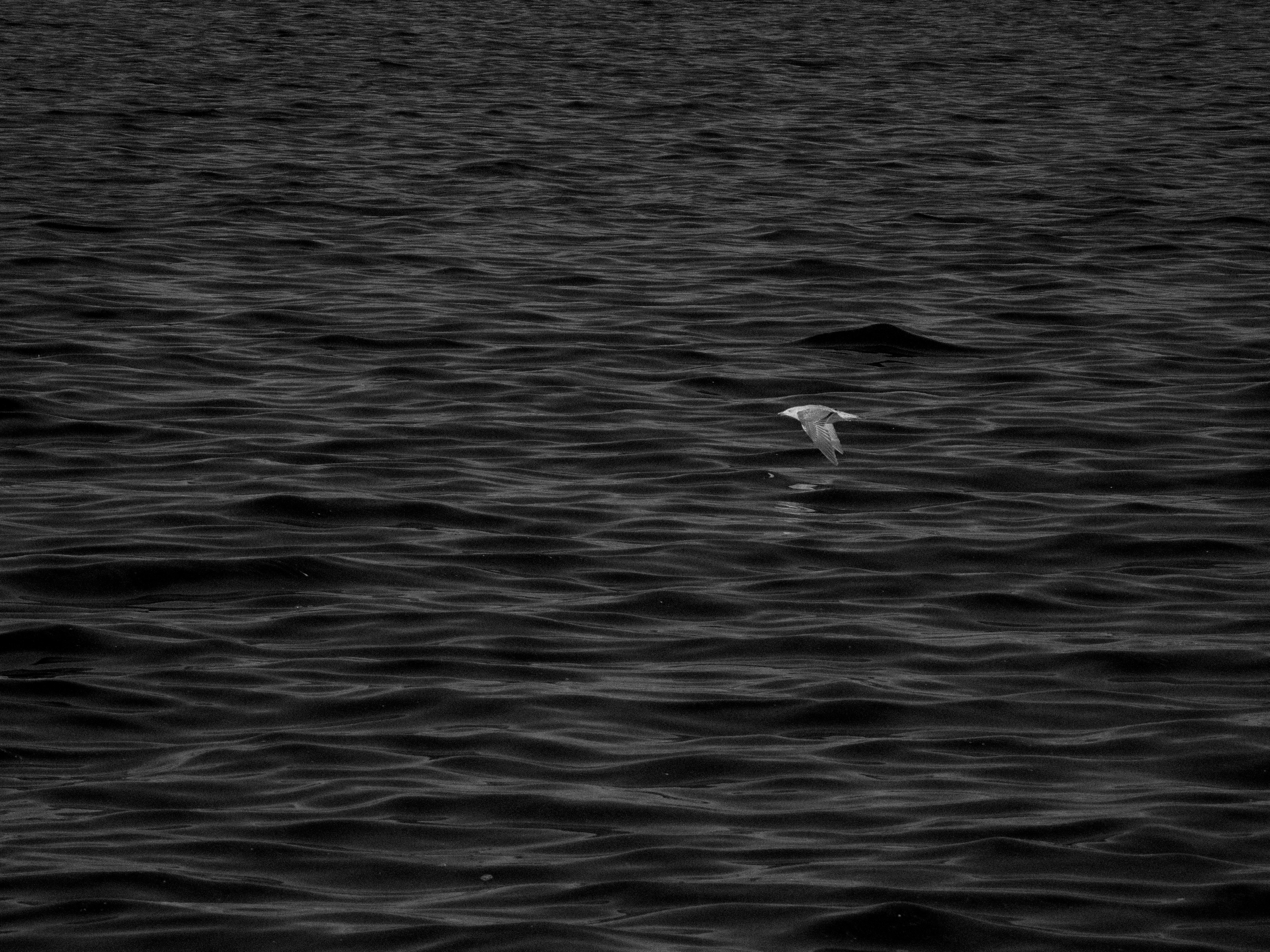 Photo by karim_fox_photography