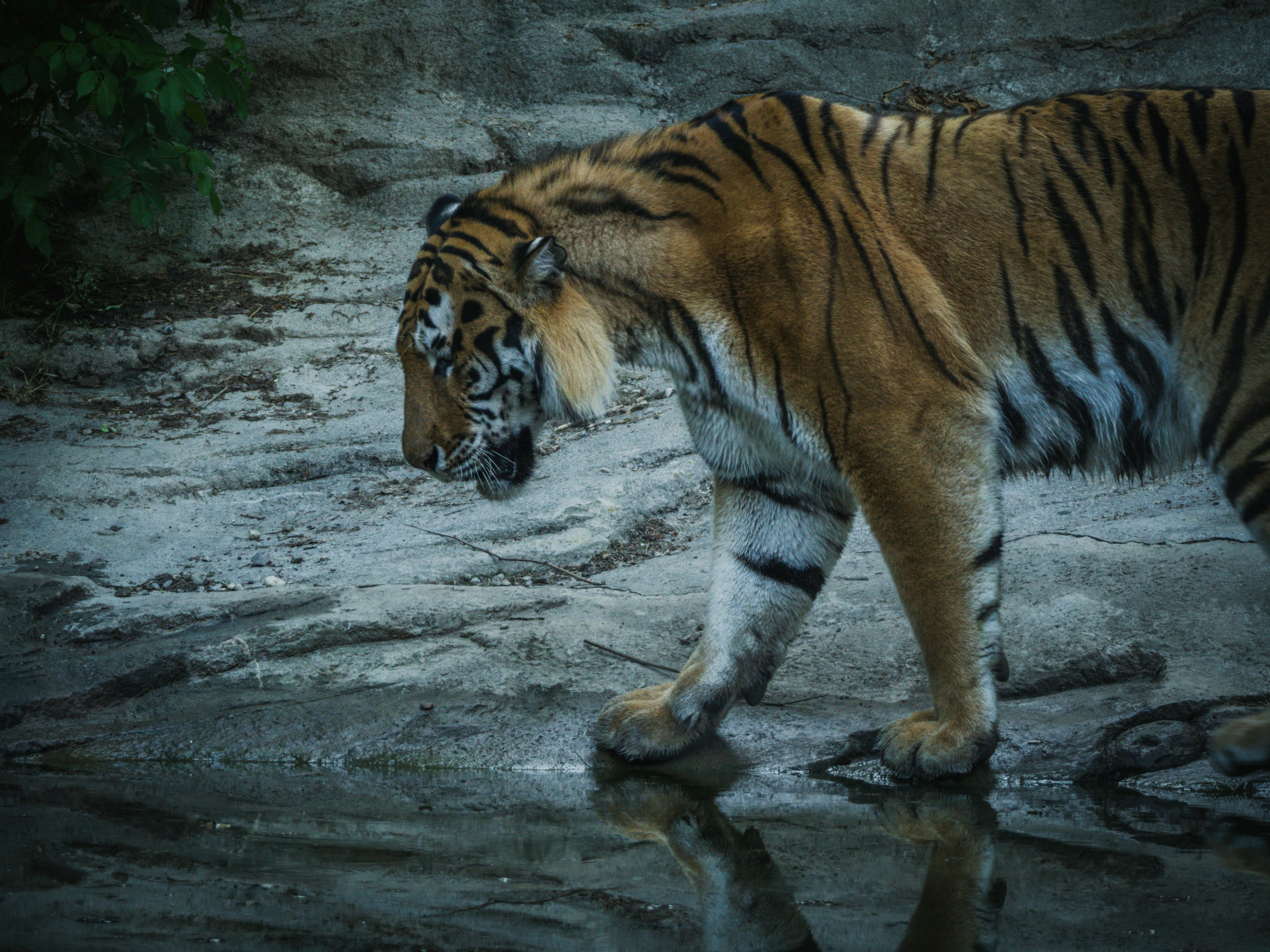 Photo by karim_fox_photography