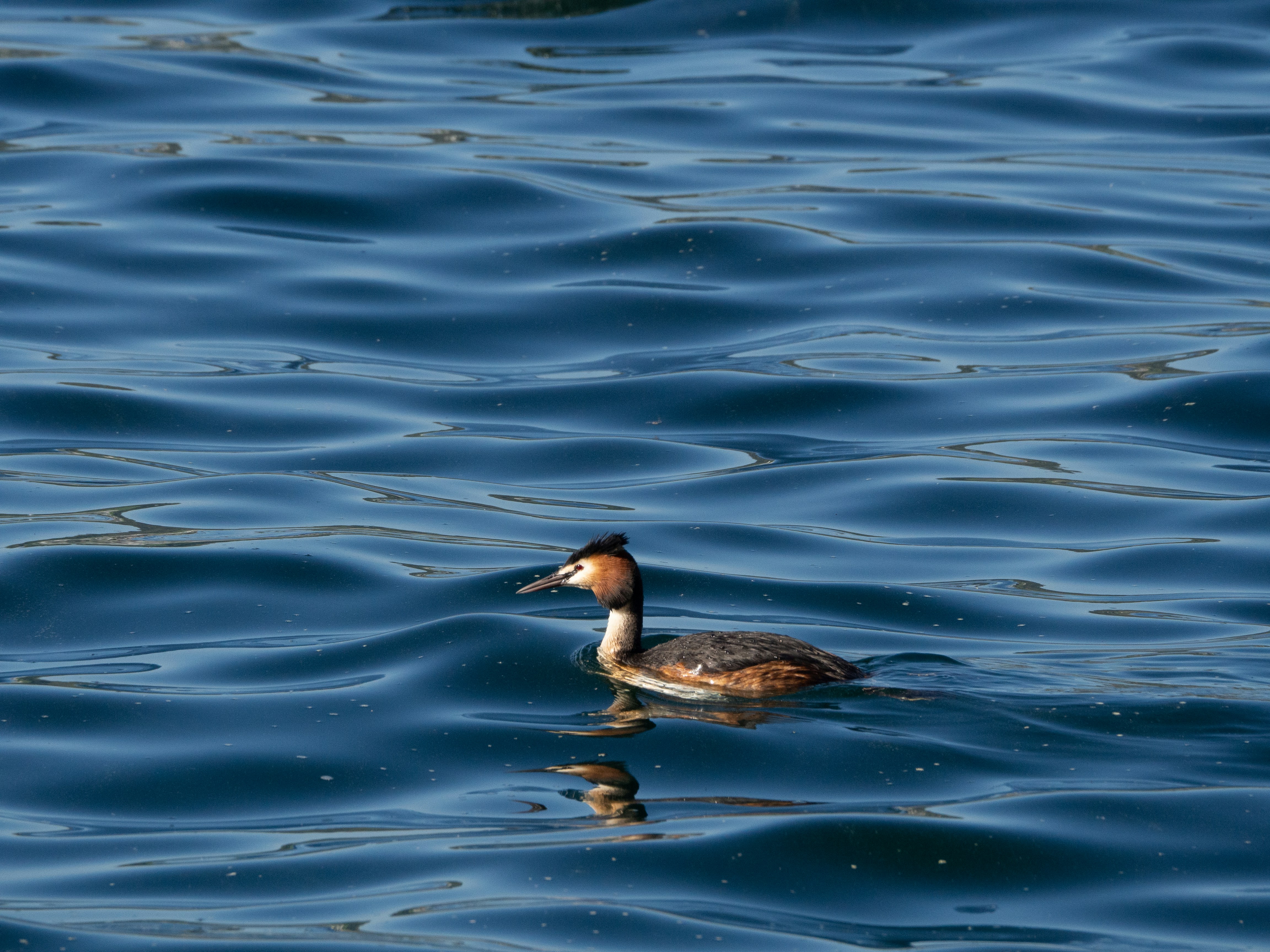 Photo by karim_fox_photography