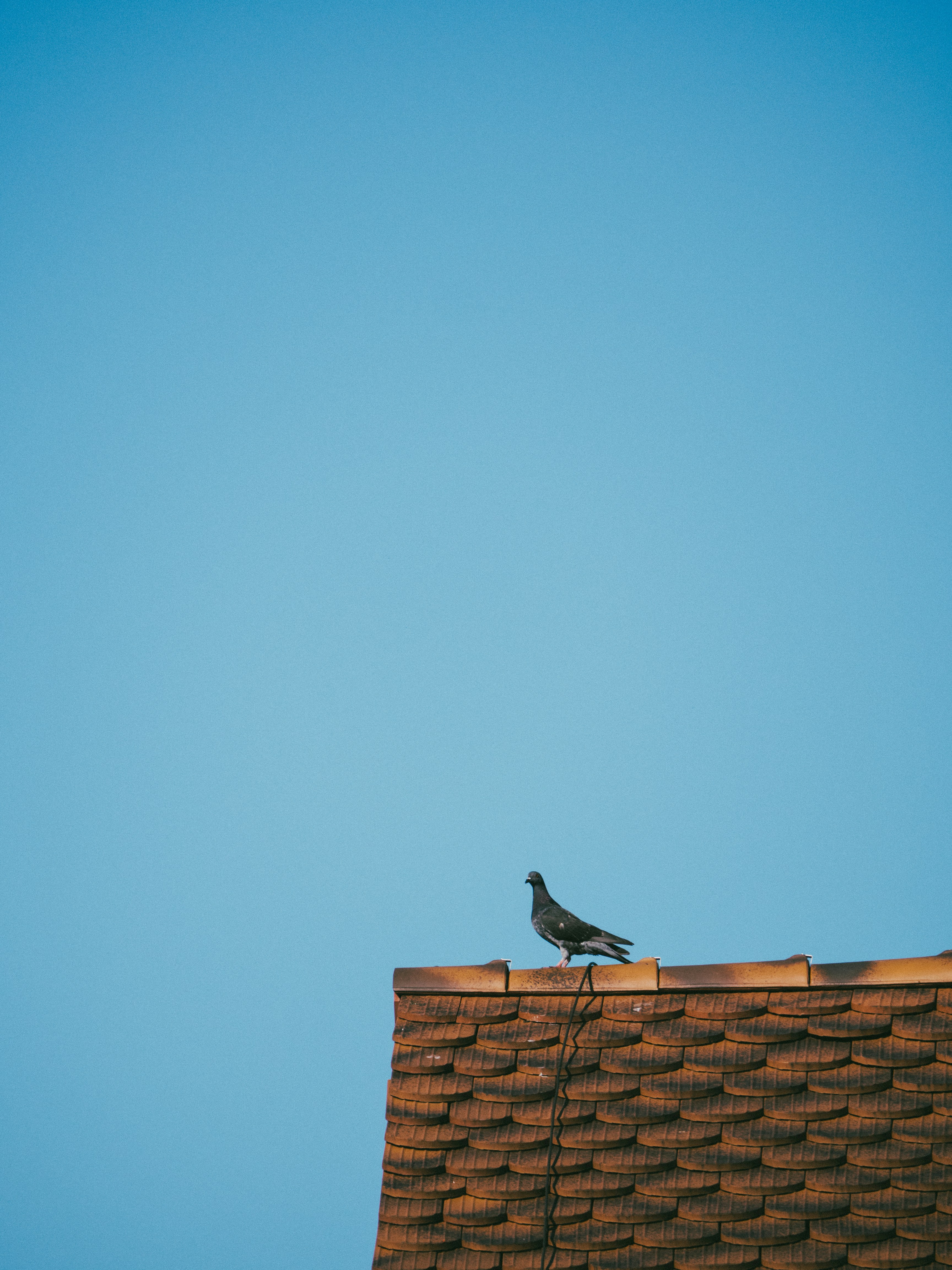 Photo by karim_fox_photography