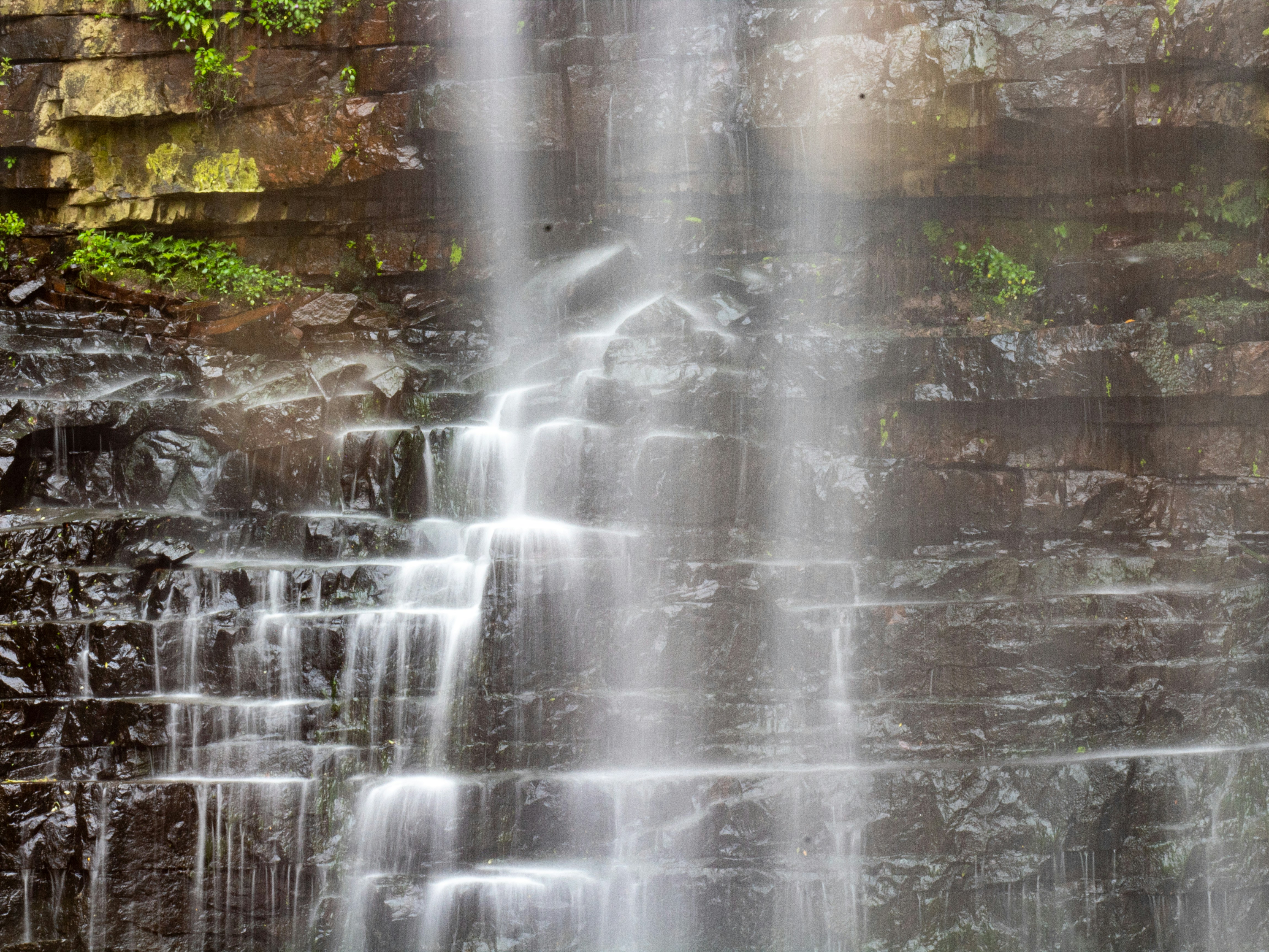 Photo by tangentstudios