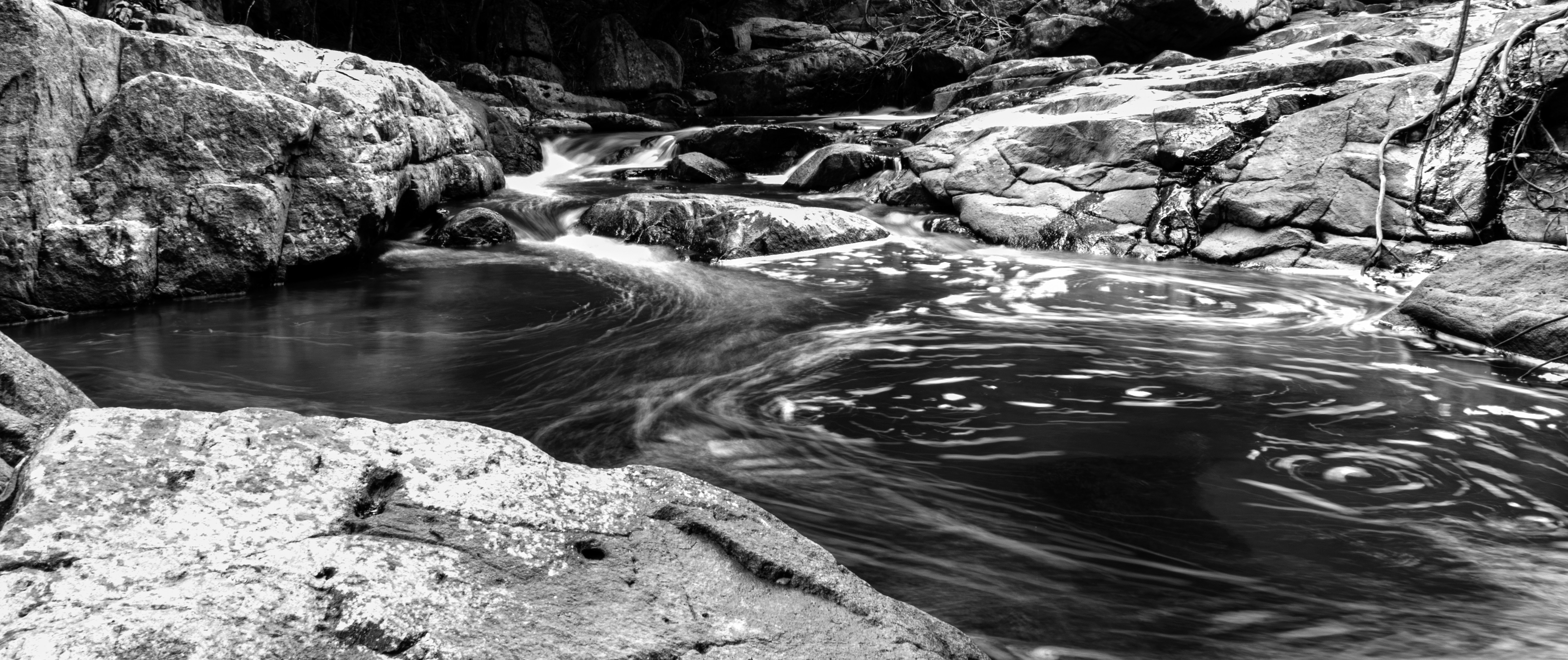 Photo by tangentstudios