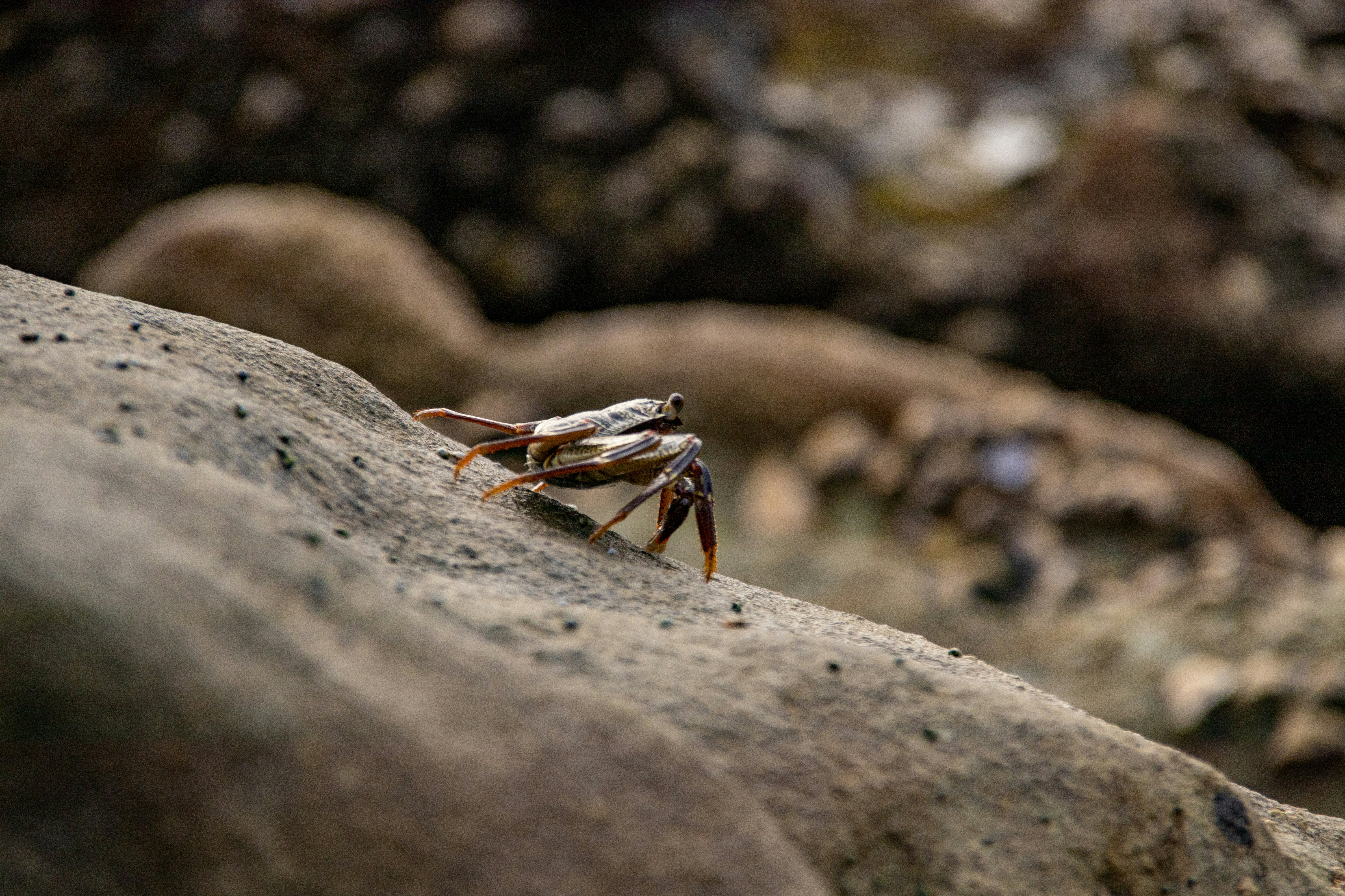 Photo by tangentstudios