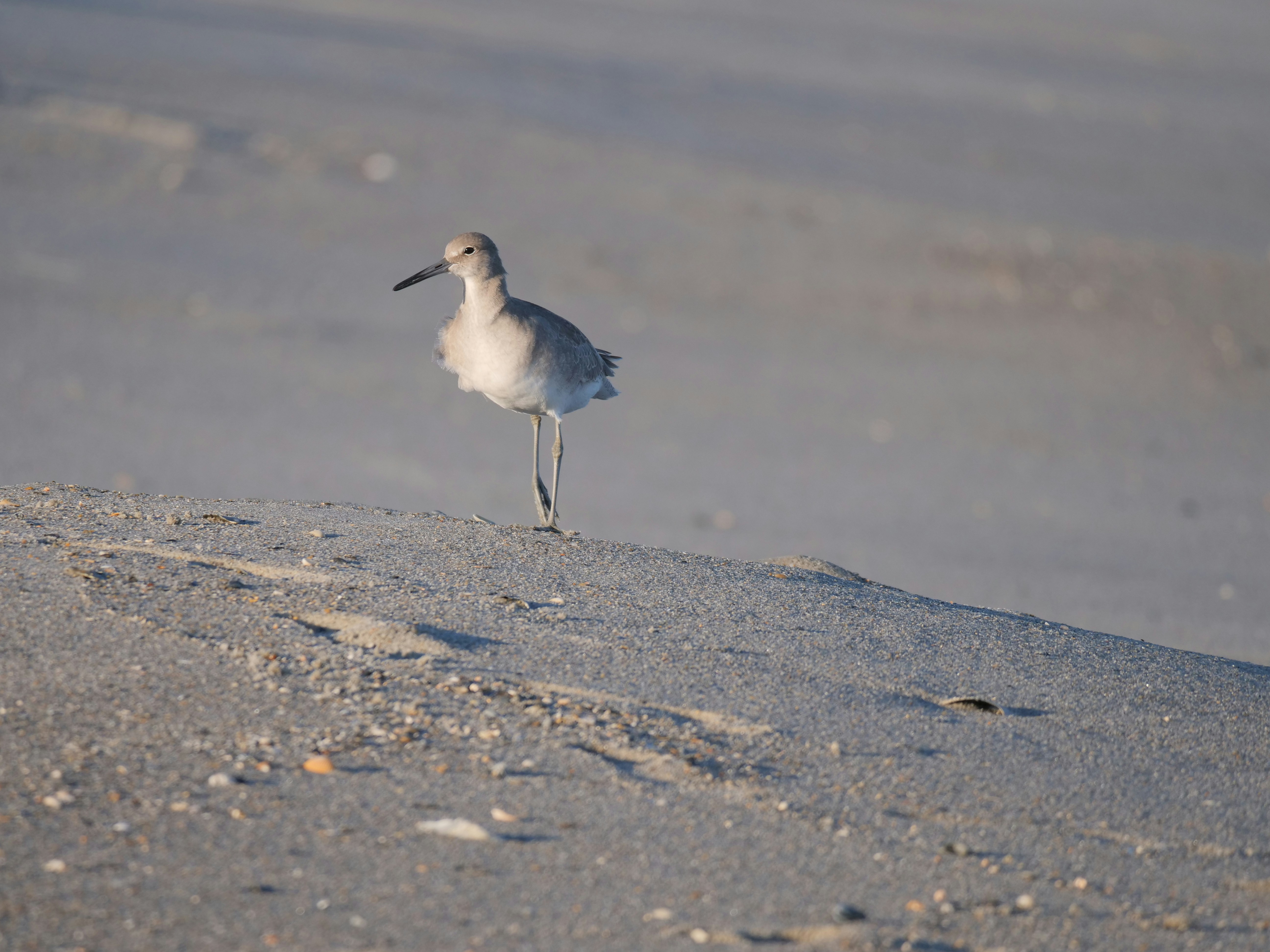 Explore Leland and Wilmington