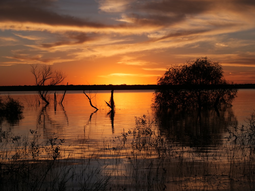 a body of water with trees and a sunset in the background