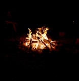 a campfire at night