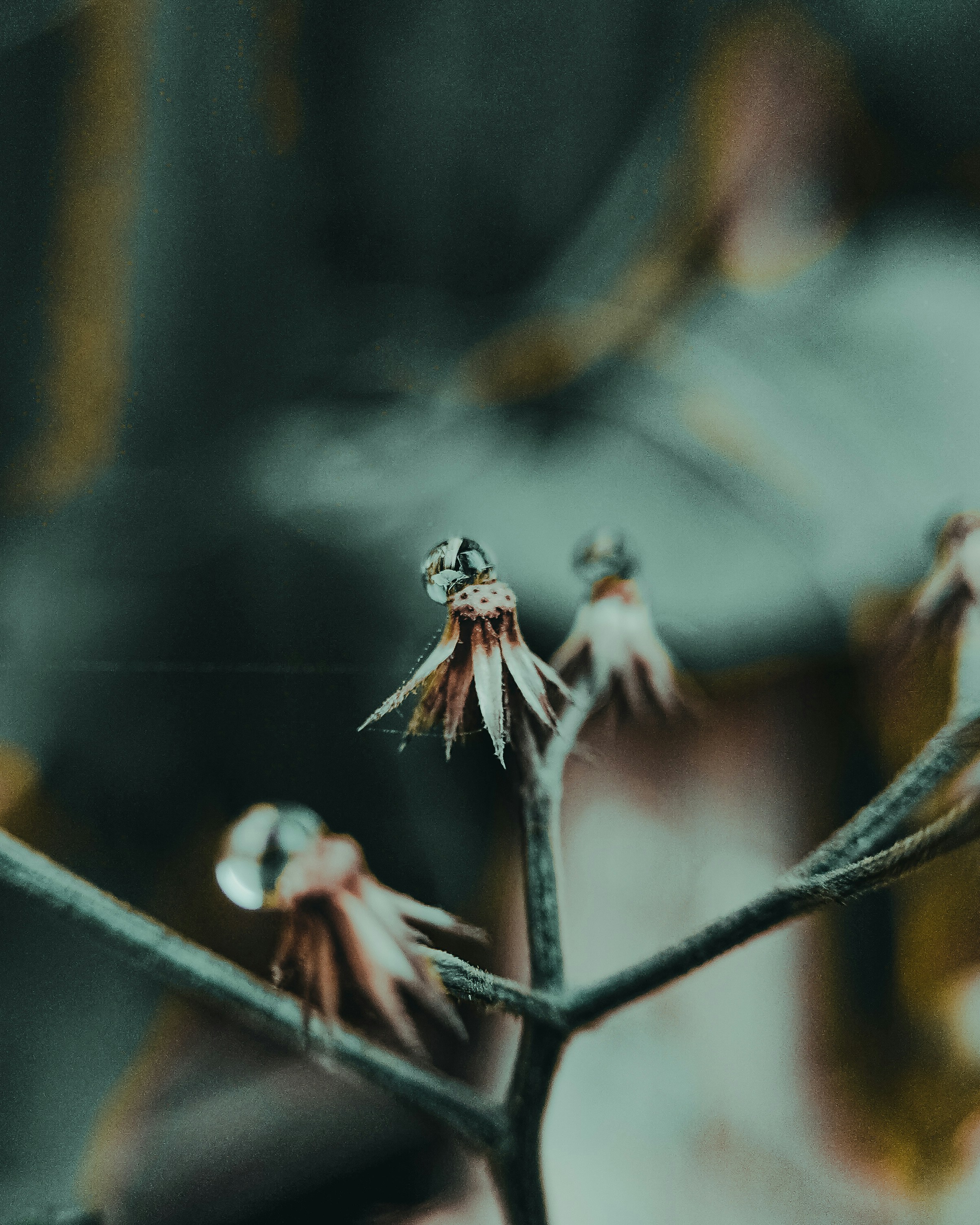 a group of insects on a branch