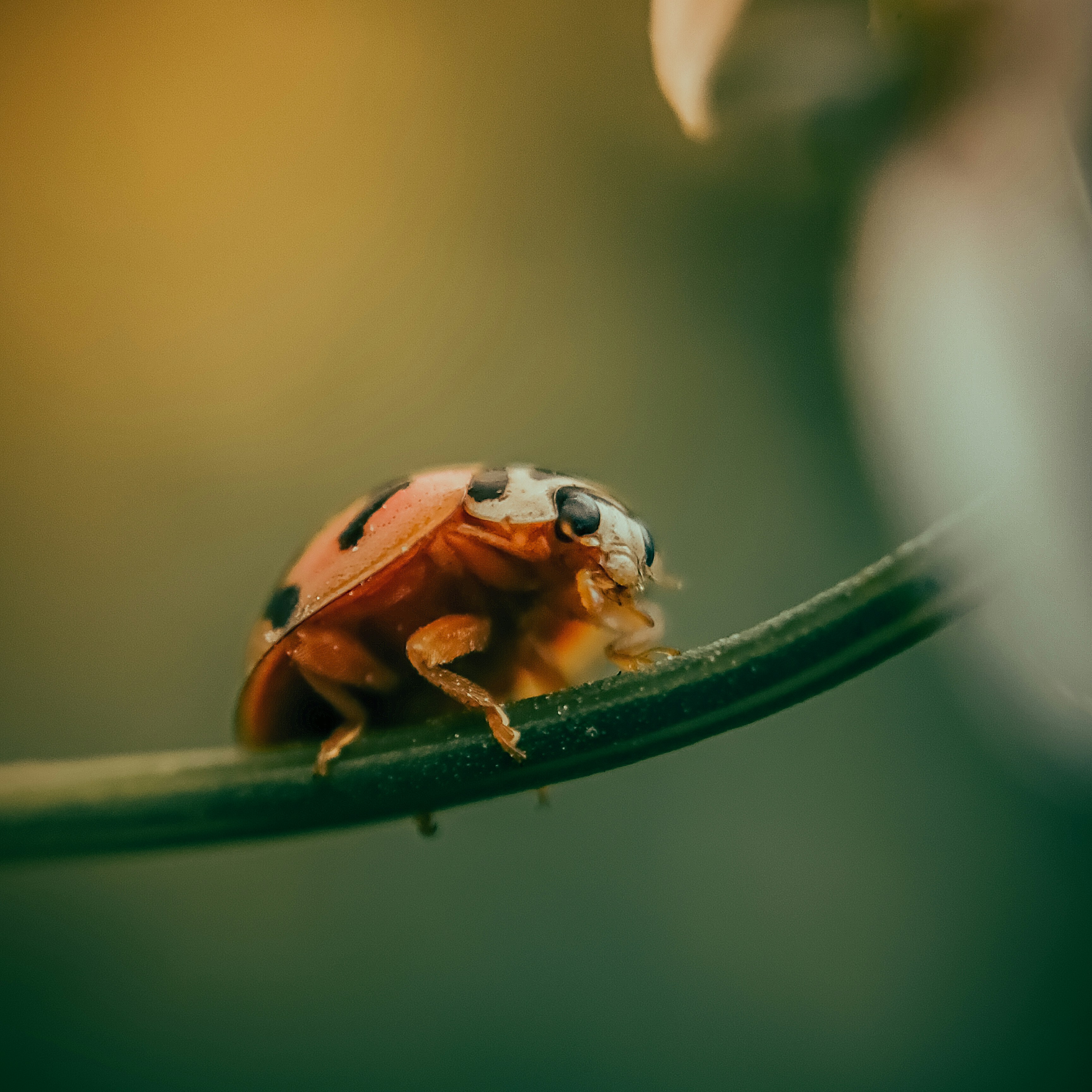 Photo by brajendra_lens_a_lot_